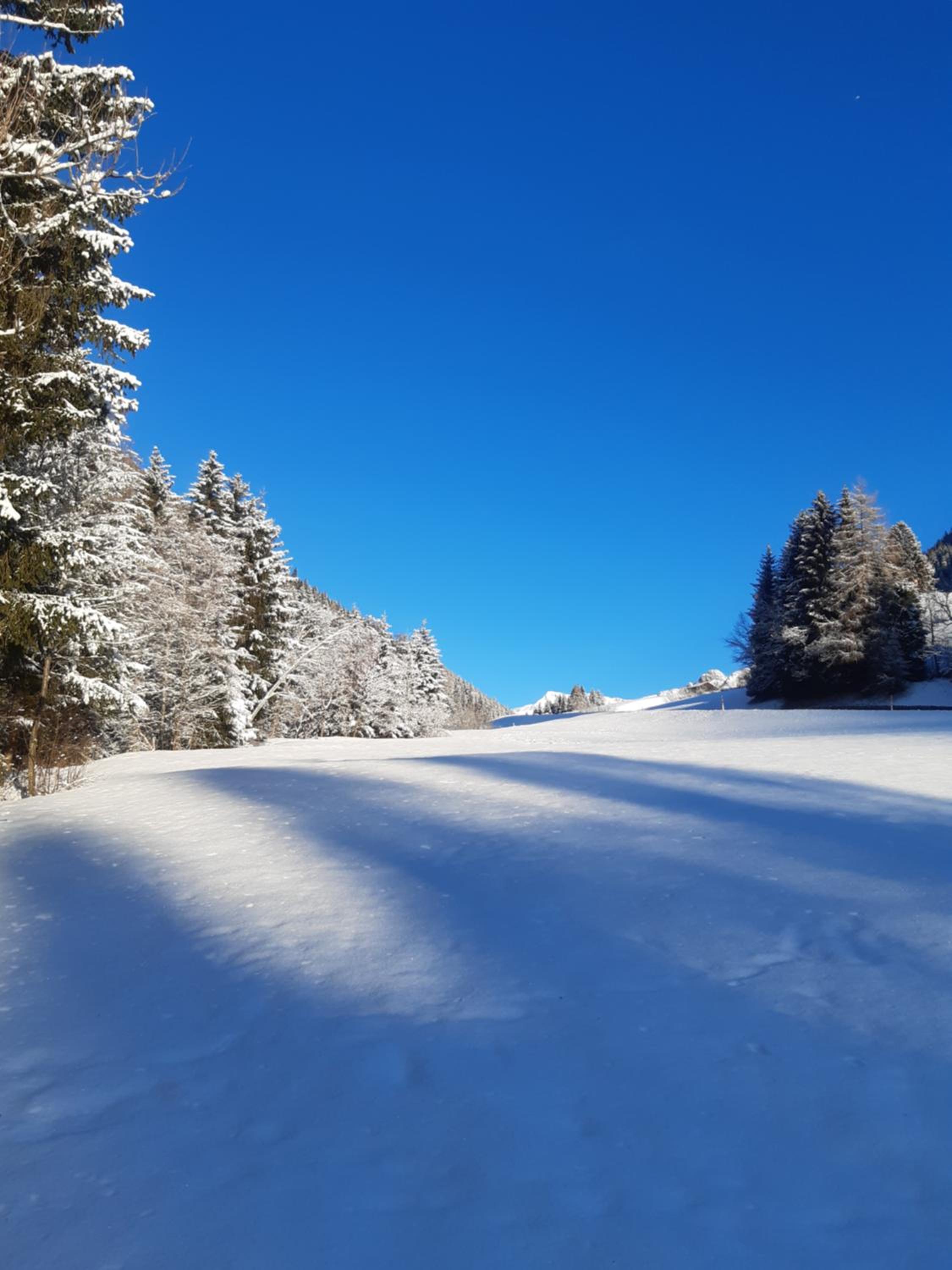 Bed & Breakfast Dolomiti Bey Haus Pinter