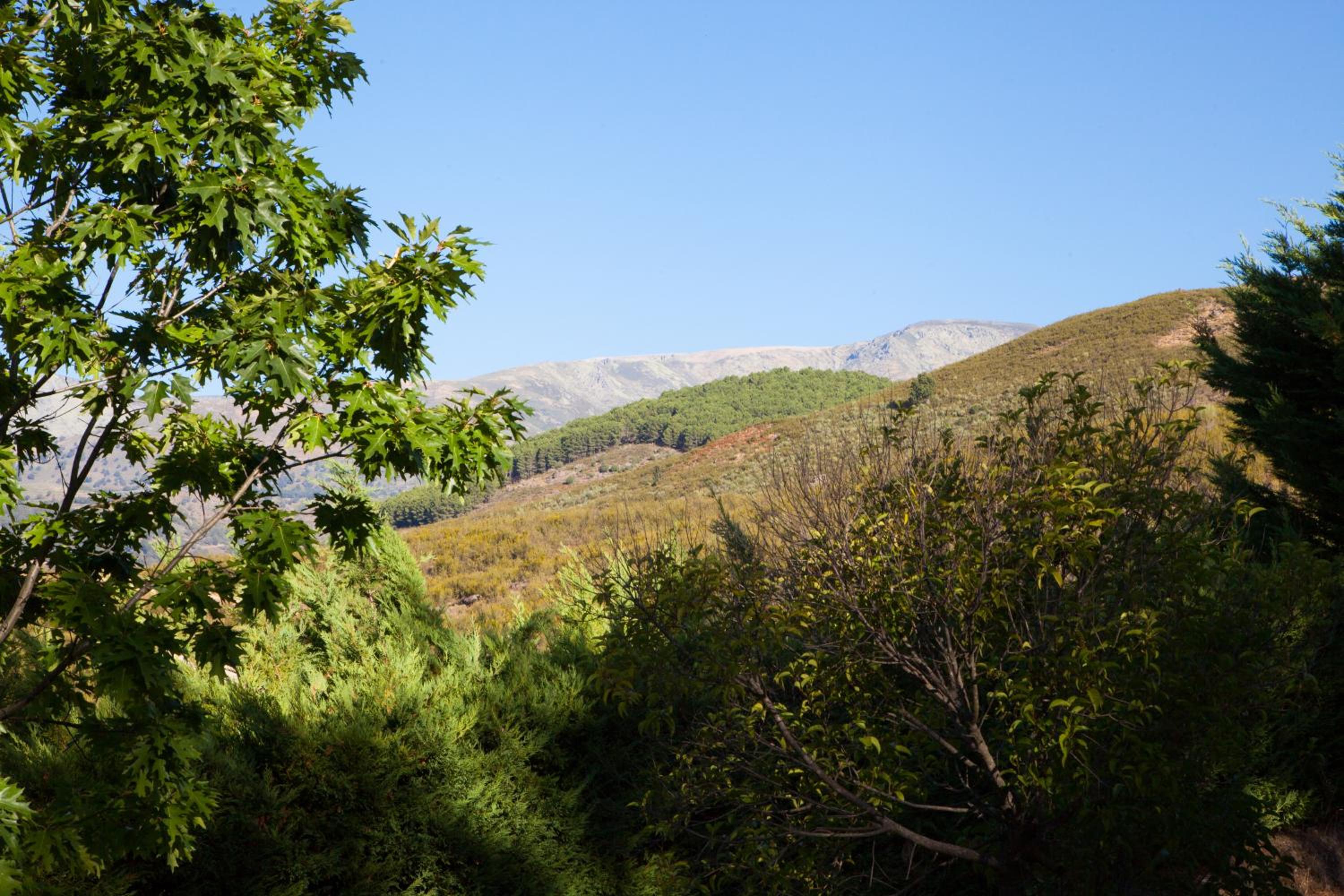 Photo 49