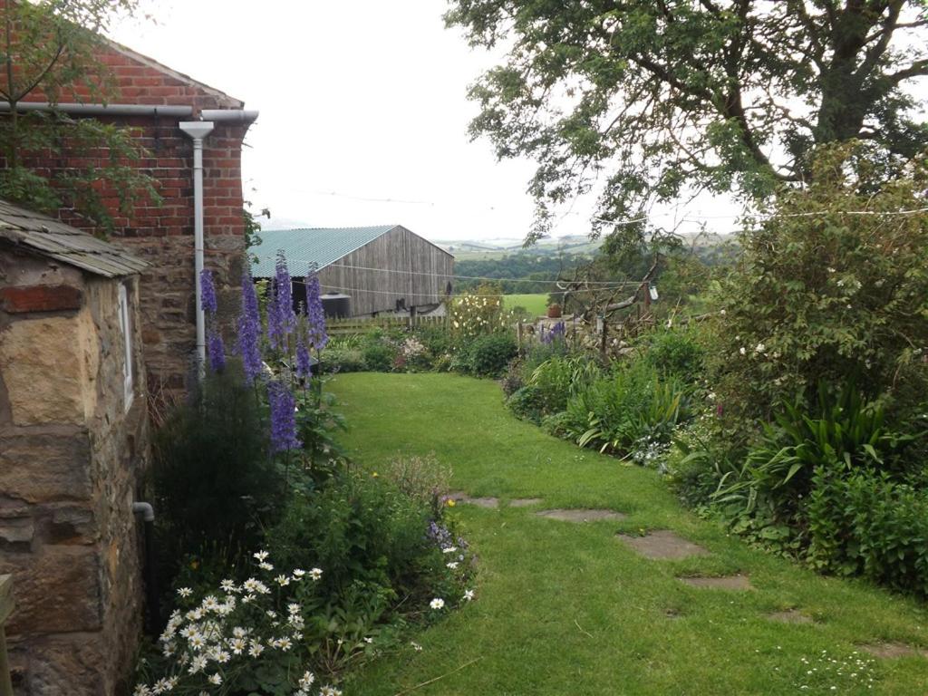 Haltwhistle Vacations - Hillis Close Farm Cottage - Property Image 2