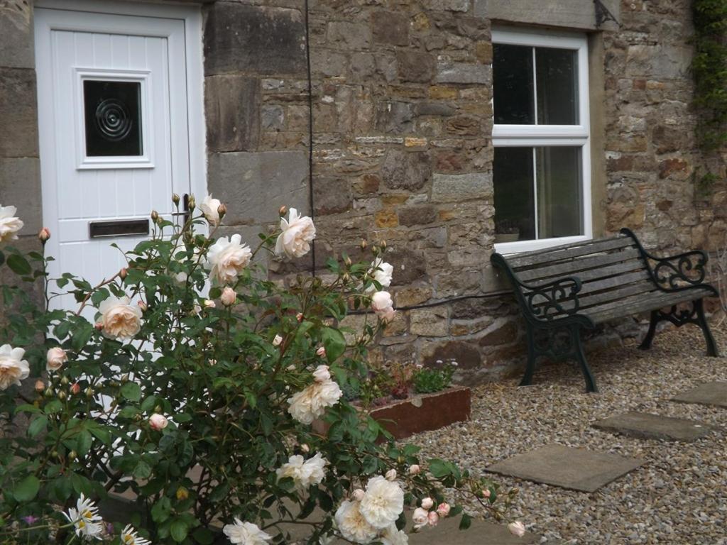 Haltwhistle Vacations - Hillis Close Farm Cottage - Property Image 3