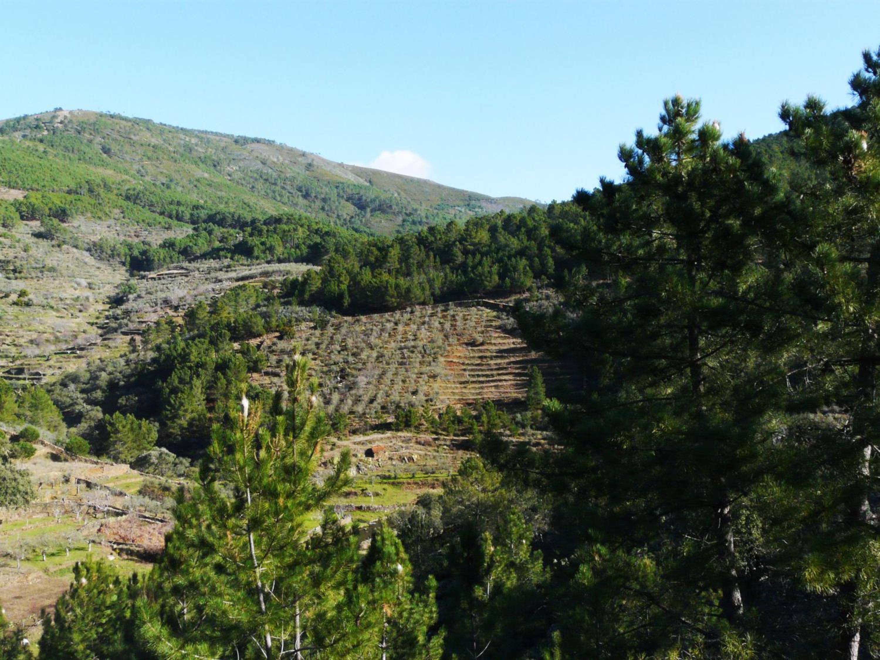 Apartamentos Rurales El Prado