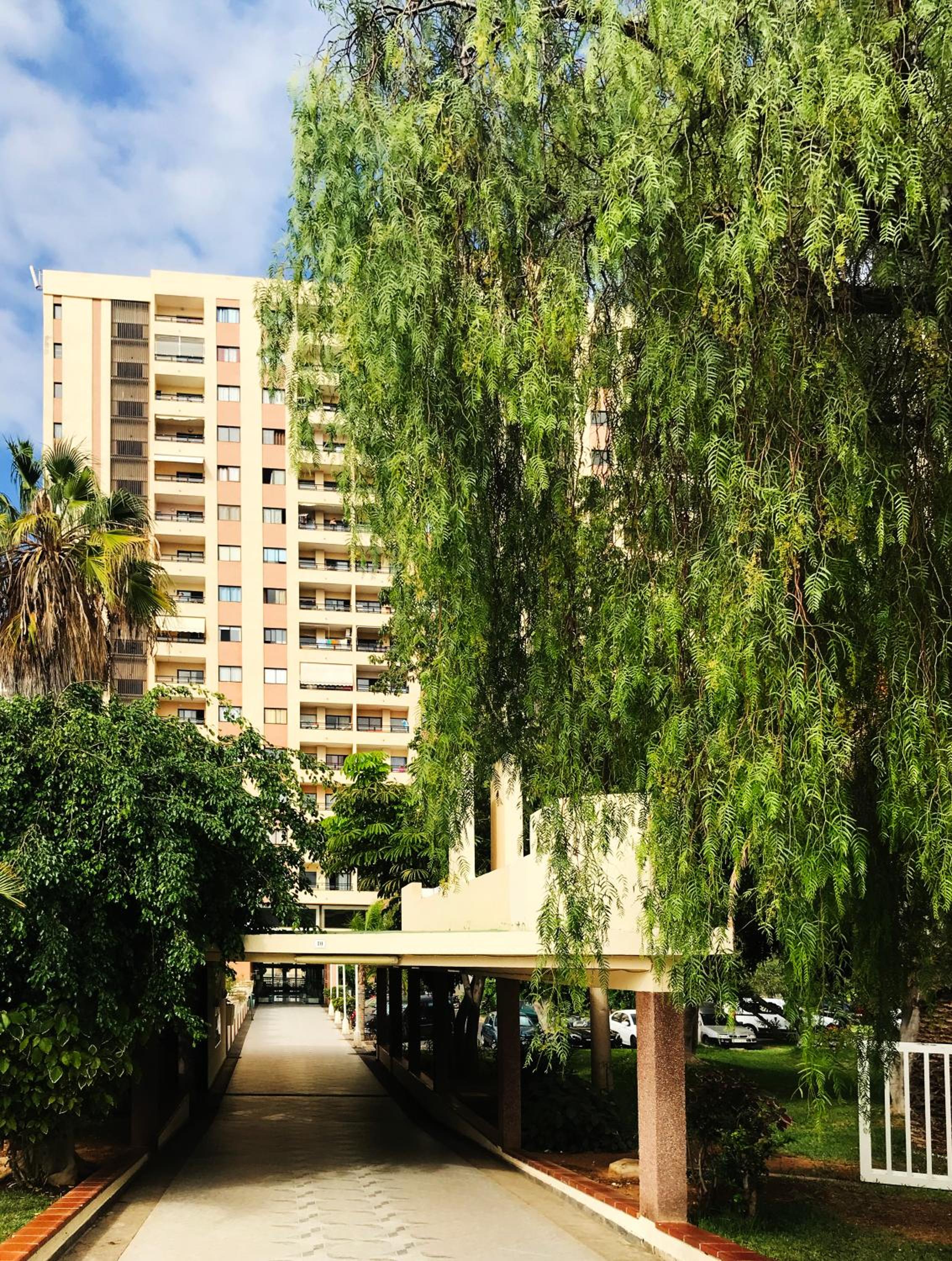 Apartment VIParaiso