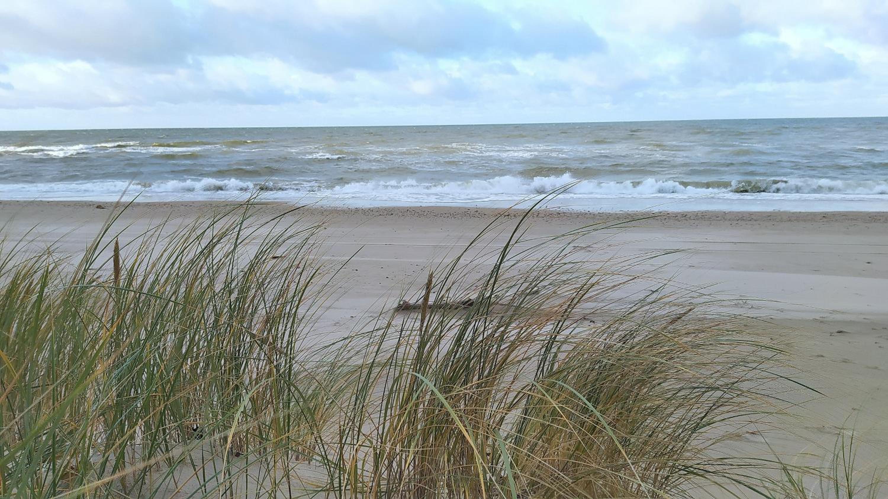 Photo 49