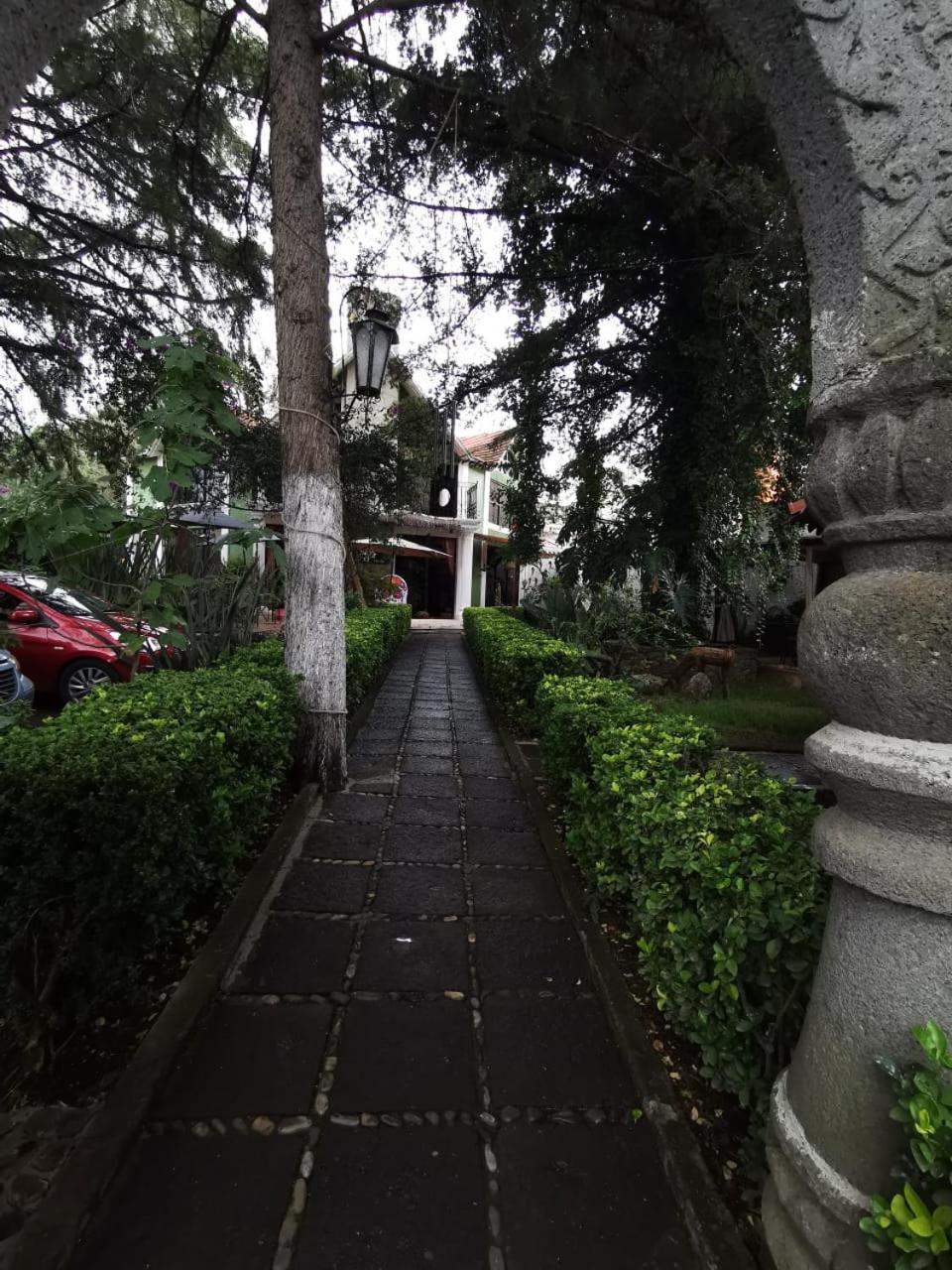 Photo 10