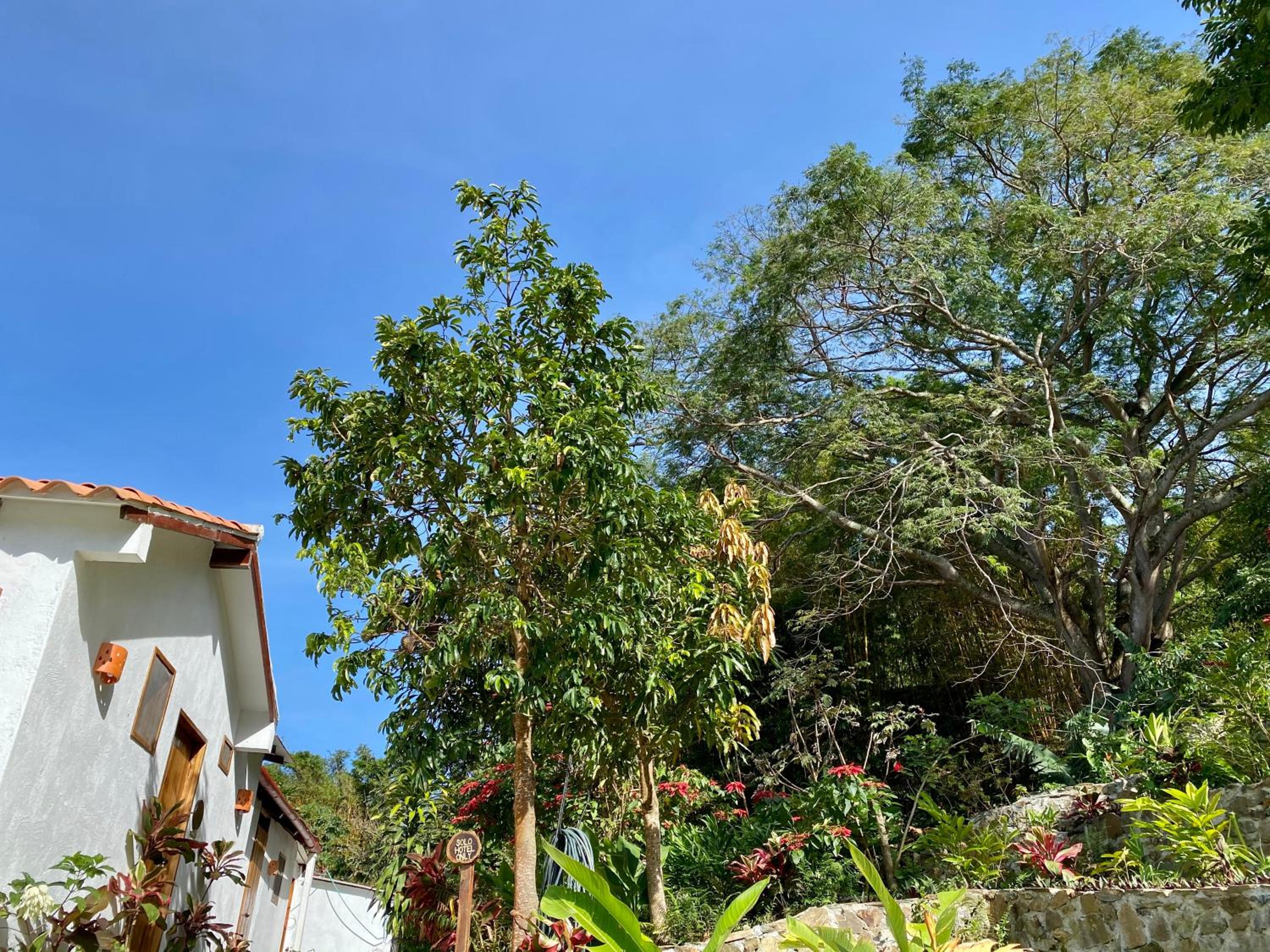 Mundo Nuevo ECO LODGE