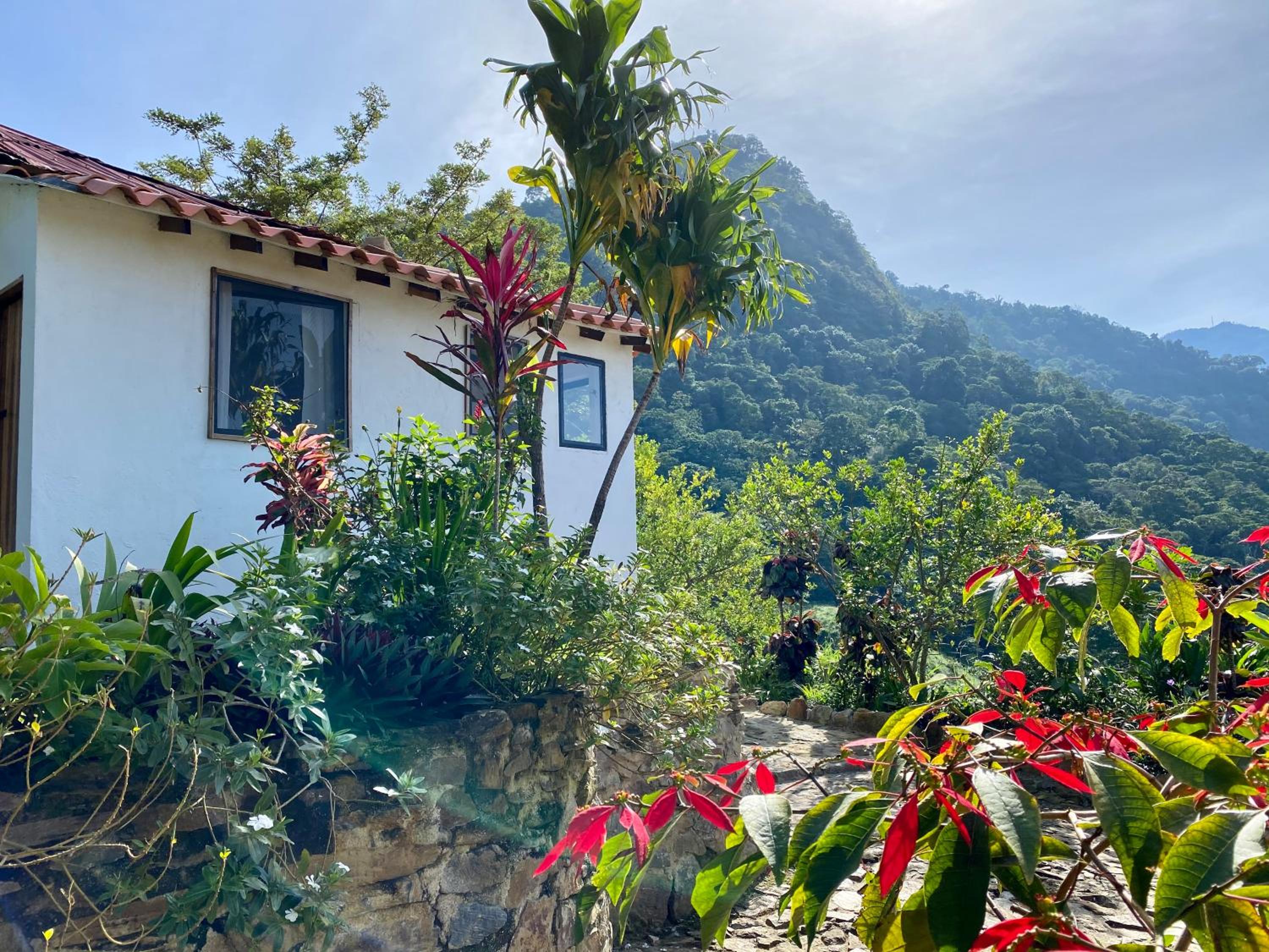 Mundo Nuevo ECO LODGE