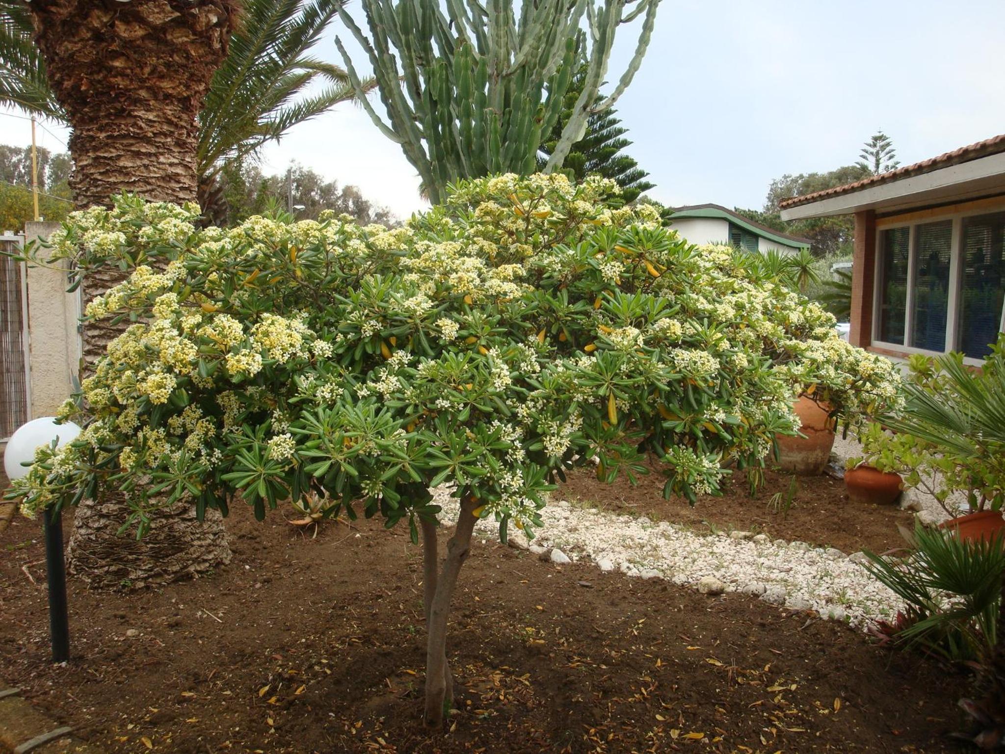 Villa Cetta B&B, photo 3