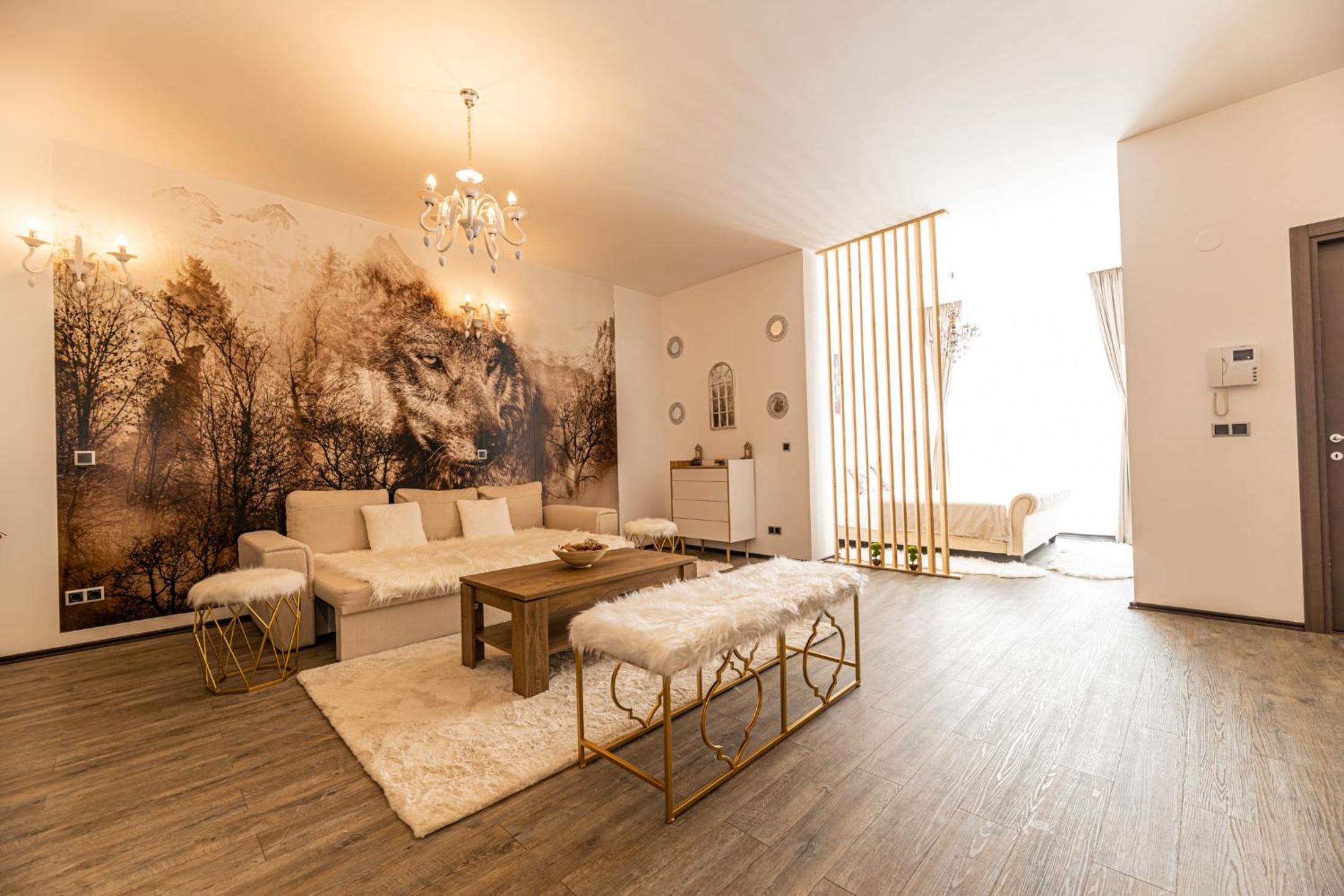 Aki Studio Silver Mountain Poiana Brasov view 5