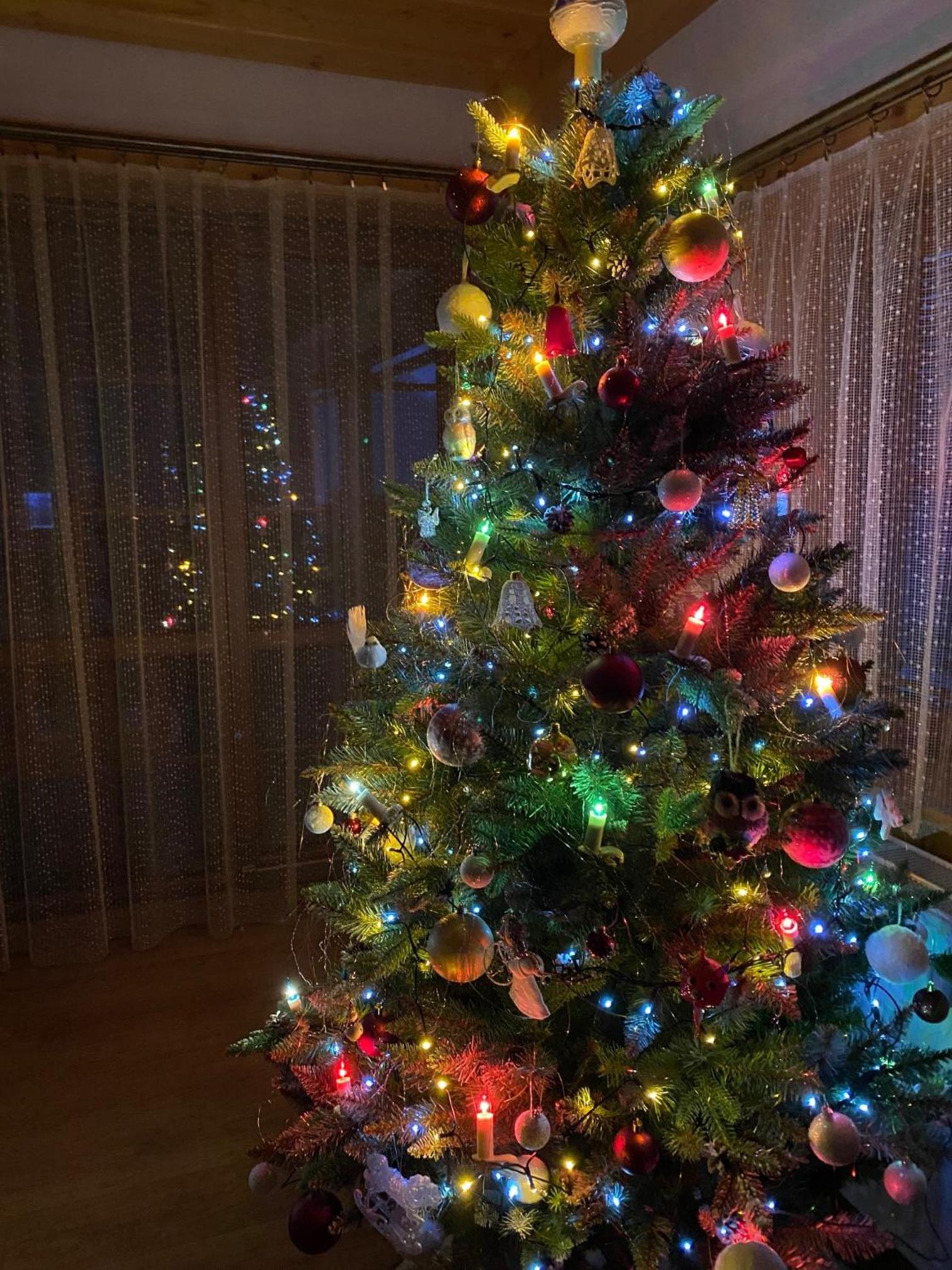 Photo 21