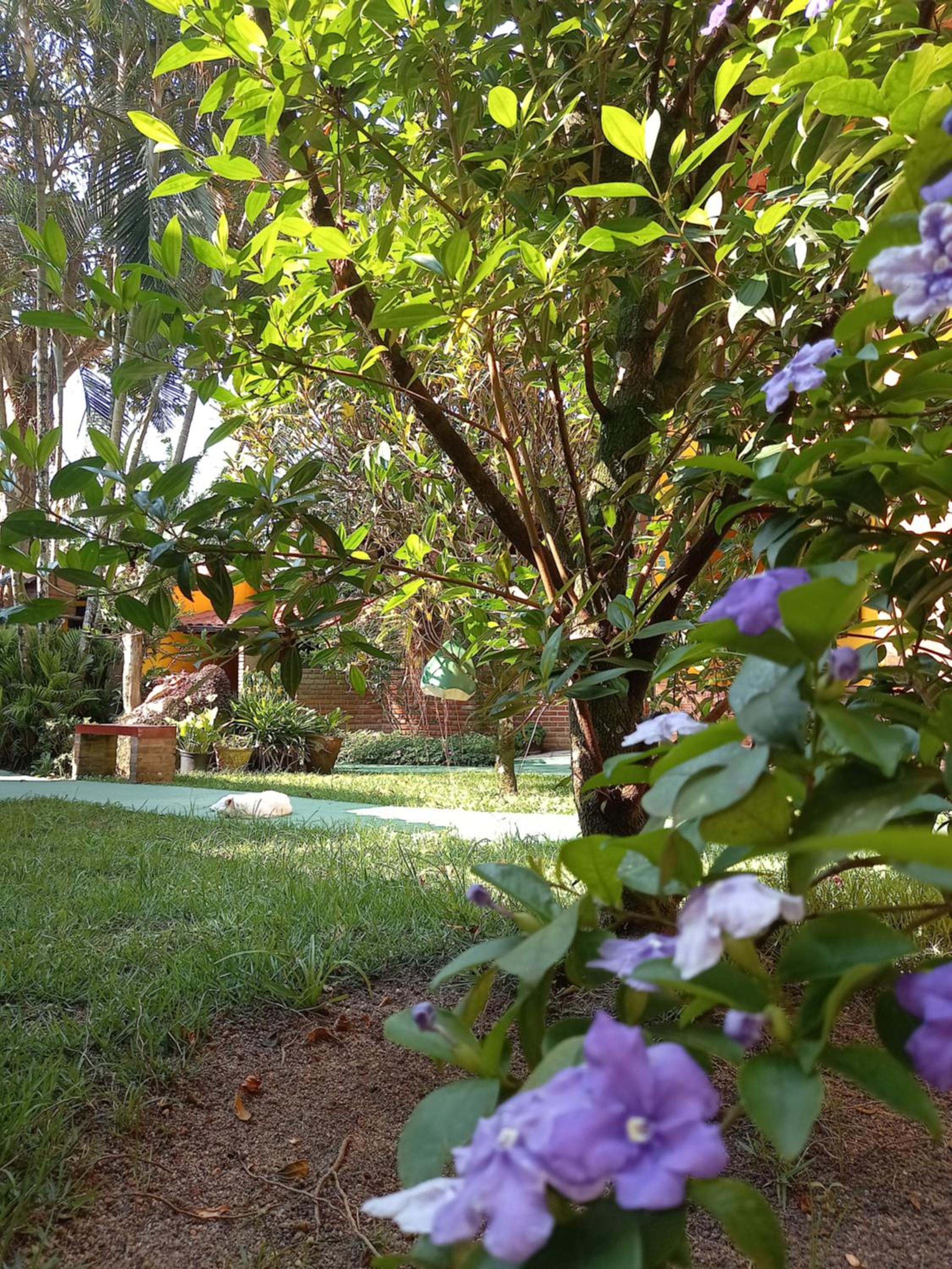 Recanto das Flores Lofts - Ilha Grande Rj