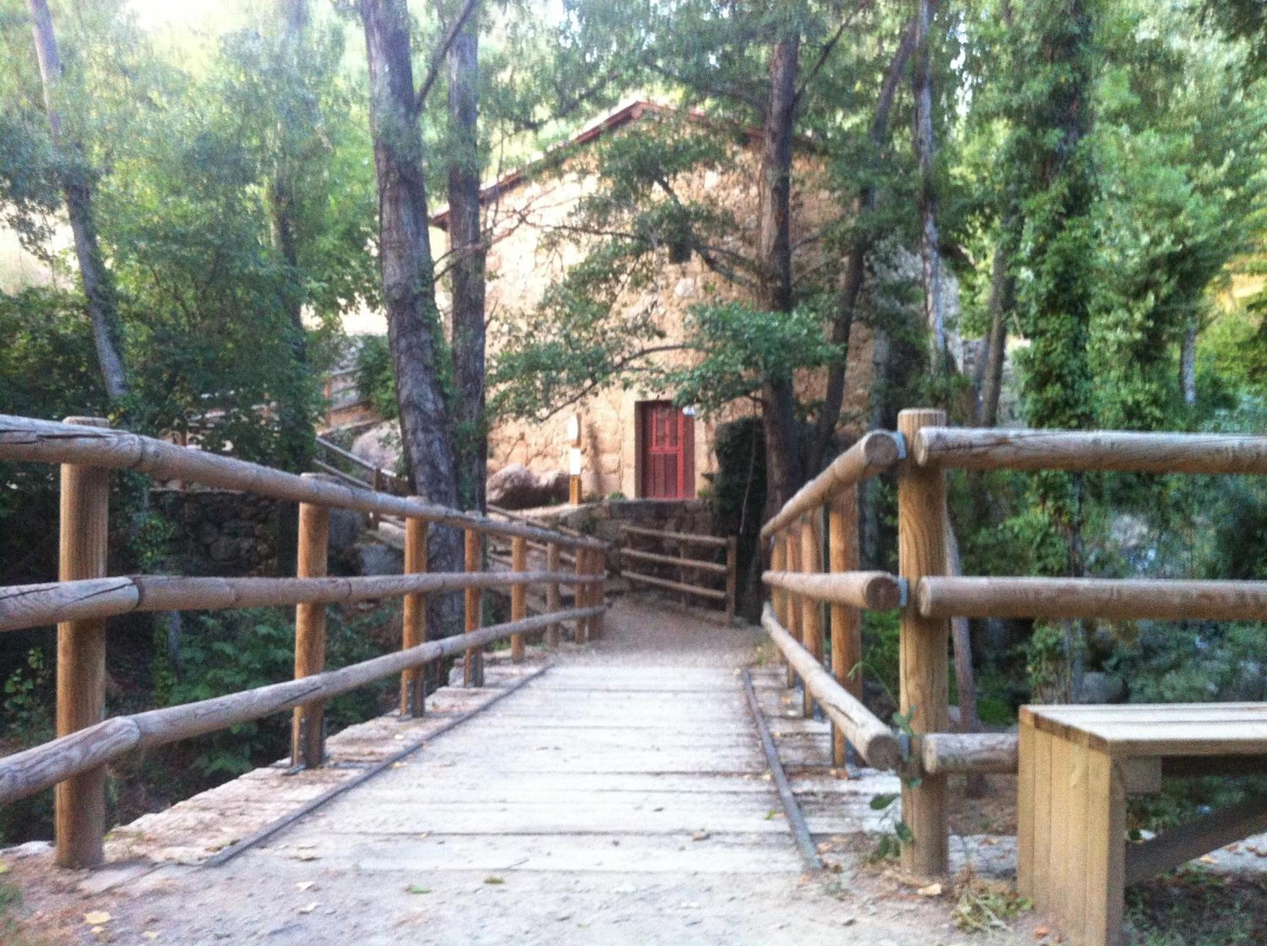 Photo 40