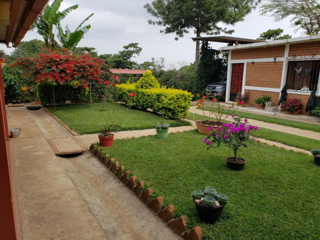 Photo 12