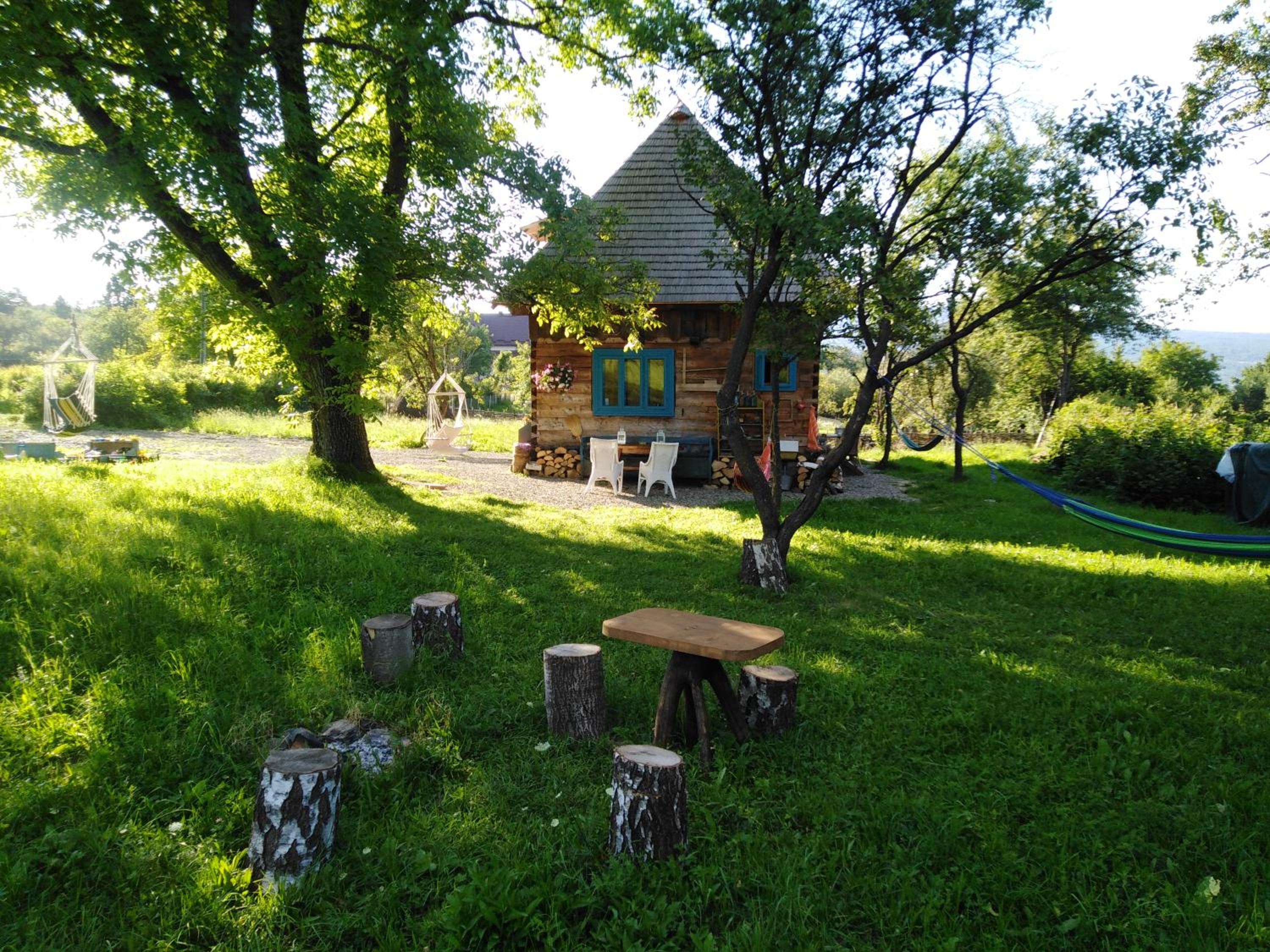 Photo 7