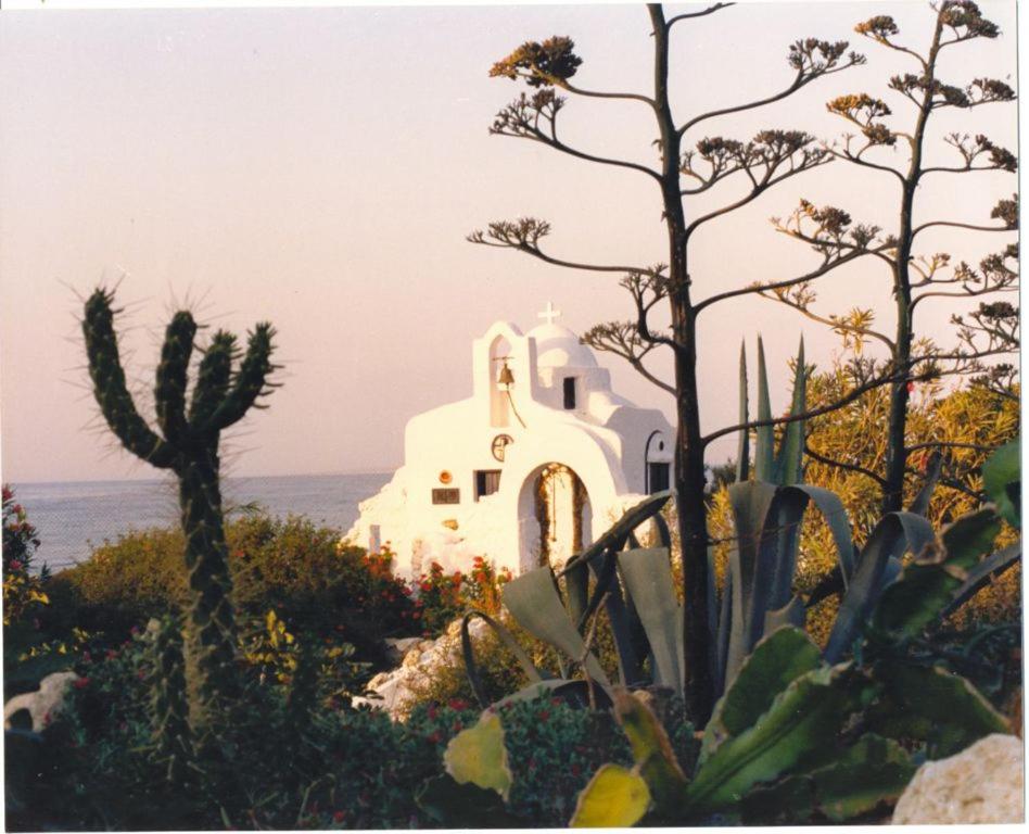 Photo 30