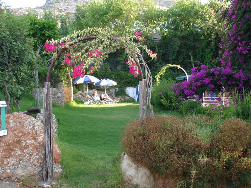 Photo 23