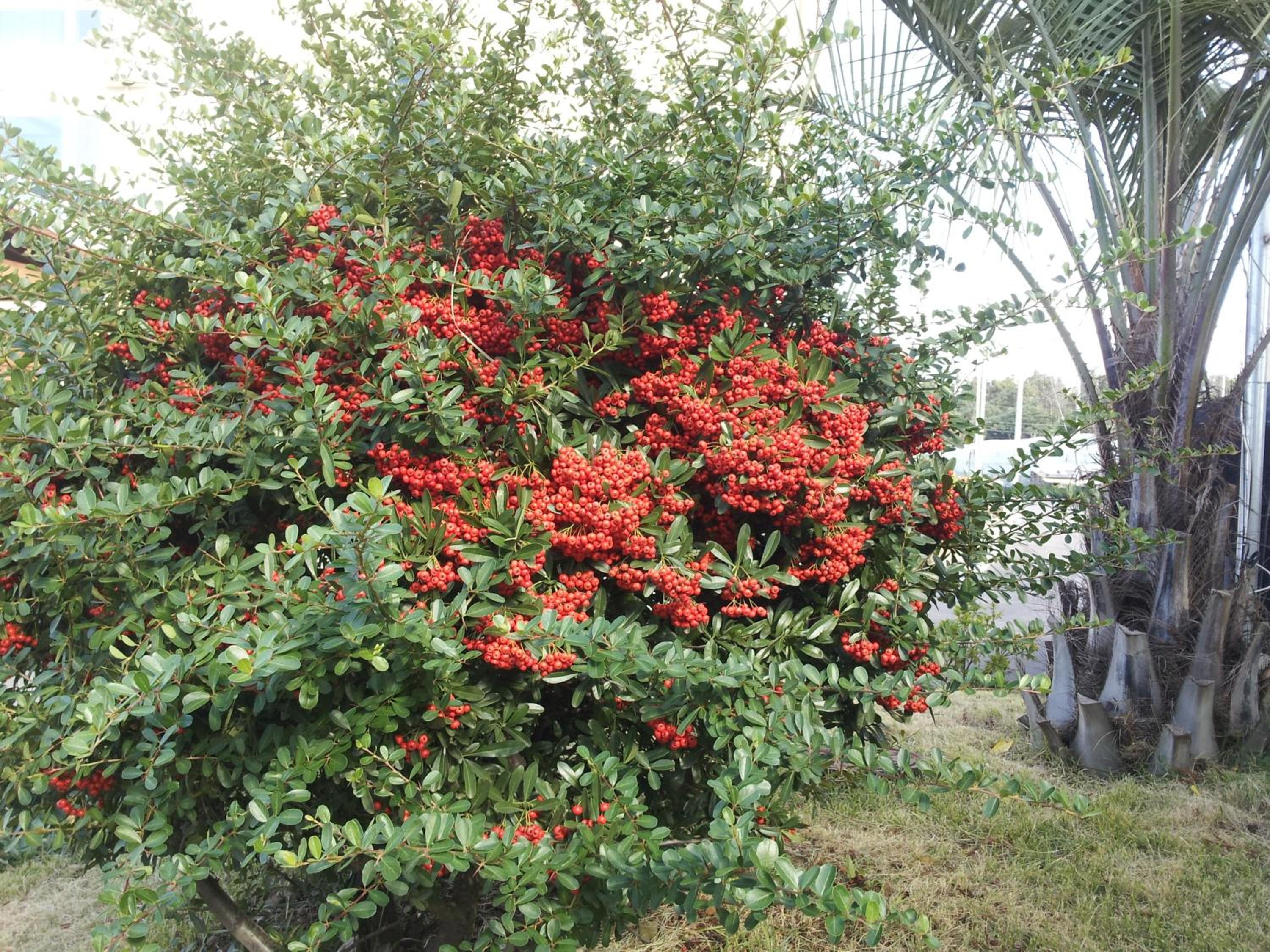 Jeju Bada Wi Olle Pension