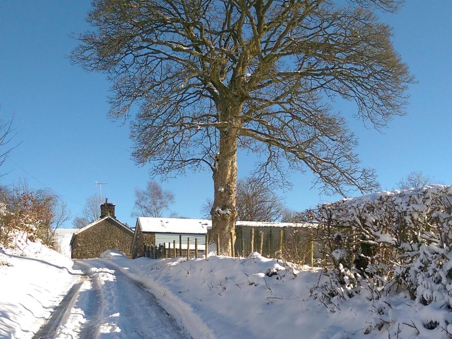 Pant Glas Barn
