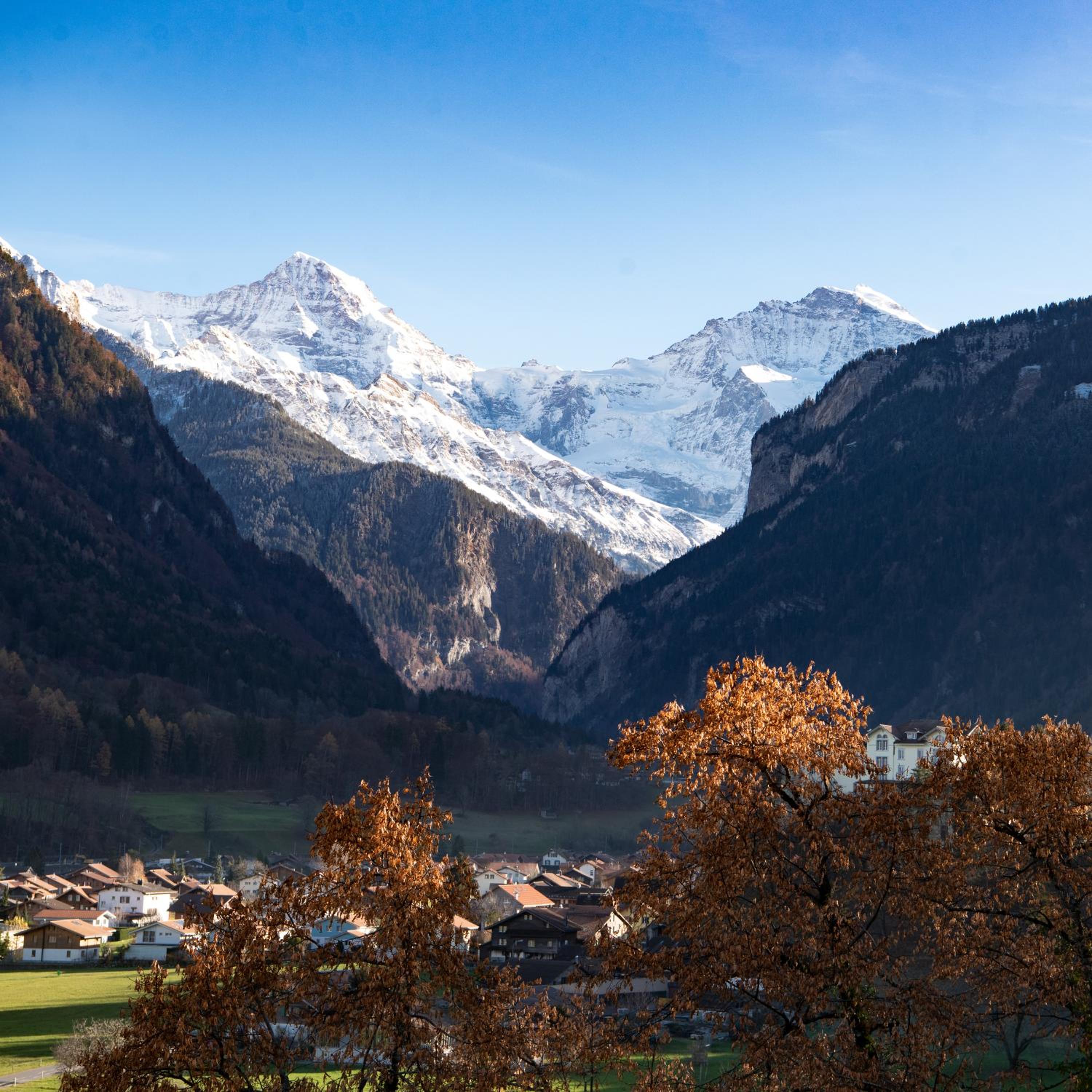 Swiss Holiday House