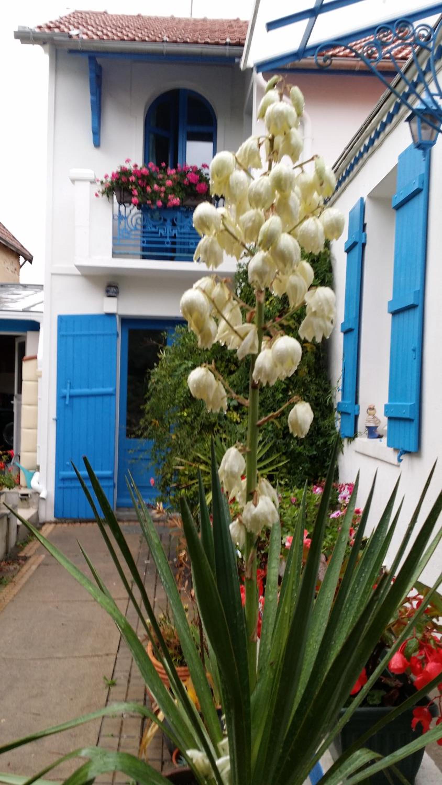 Les Volets Bleus view 4