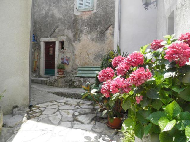 Apartman DEJO view 4