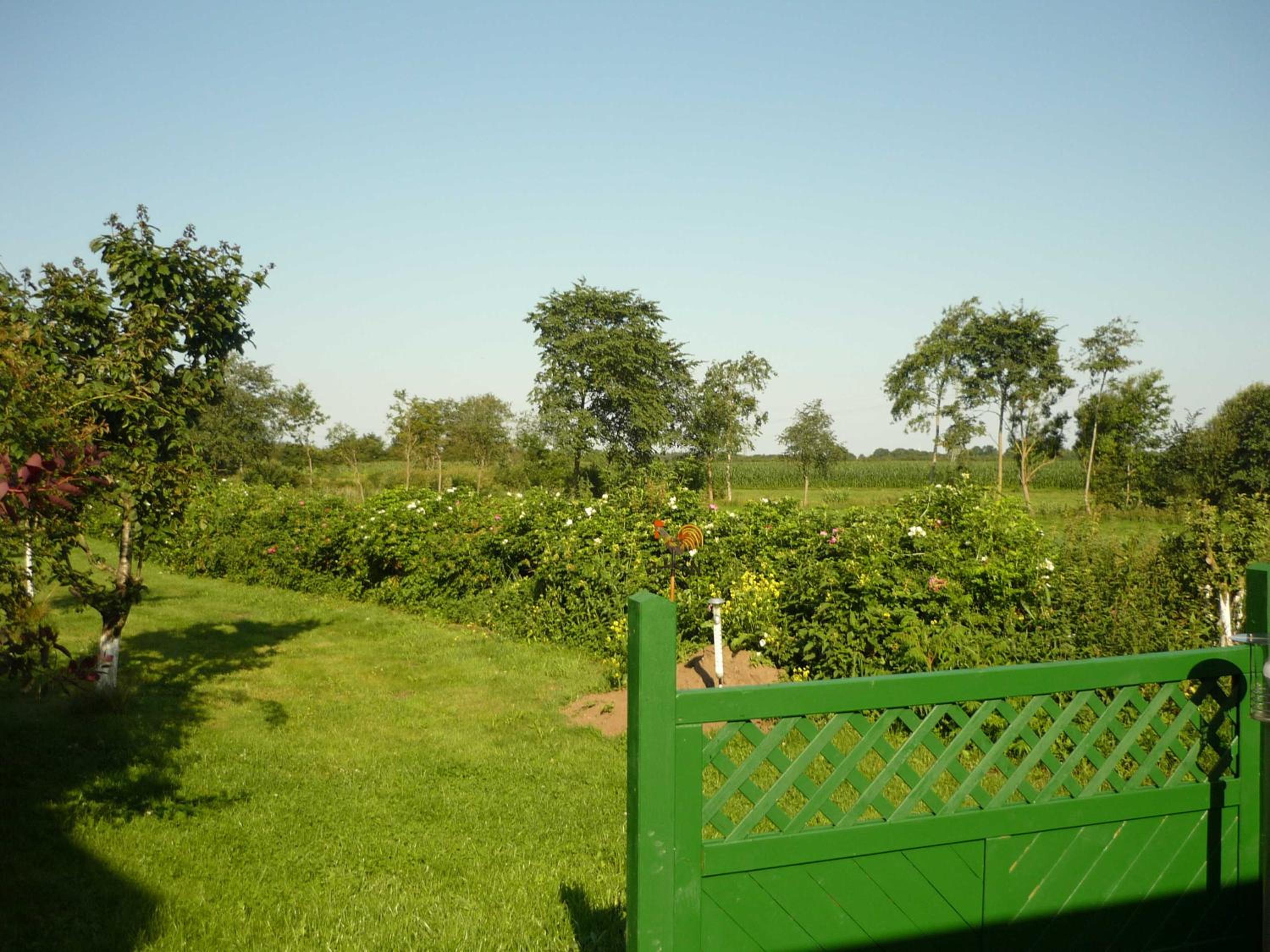 Photo 24