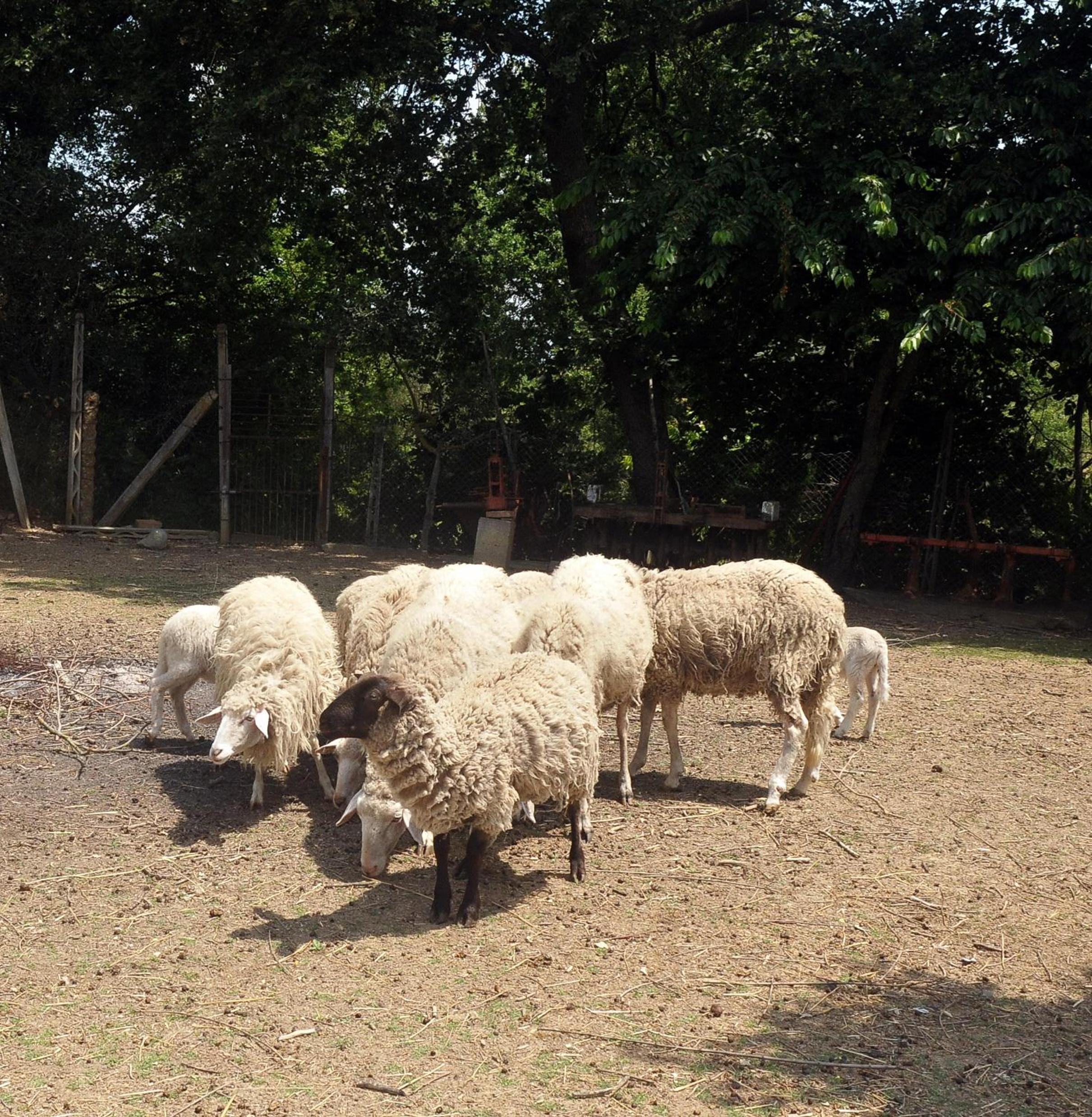 Photo 40