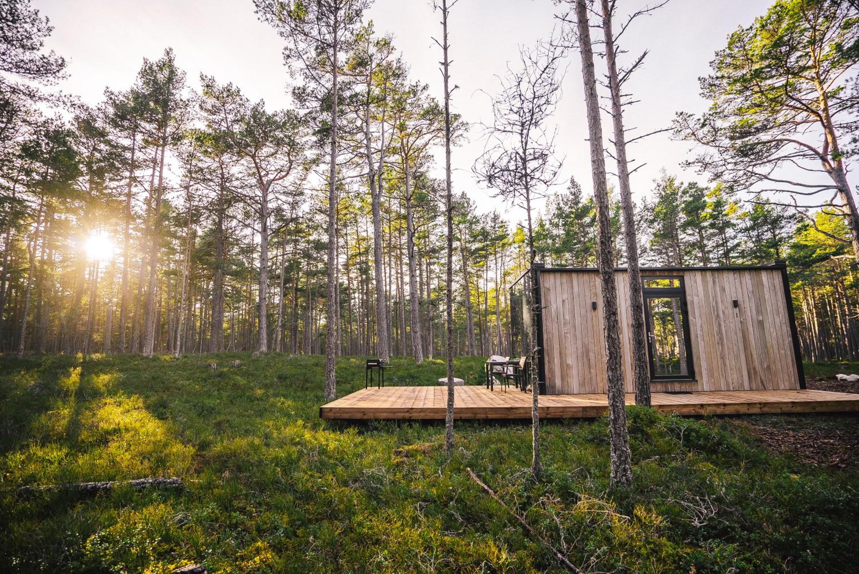 Stay ÖÖD Rooslepa --ÄLSKAR -with sauna view 5