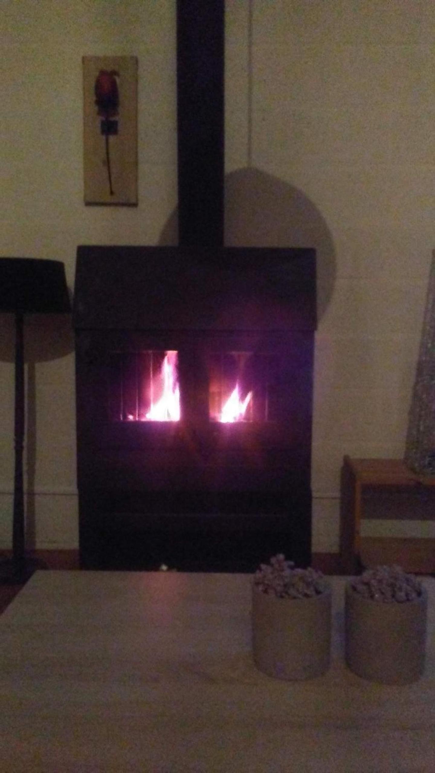 Photo 12