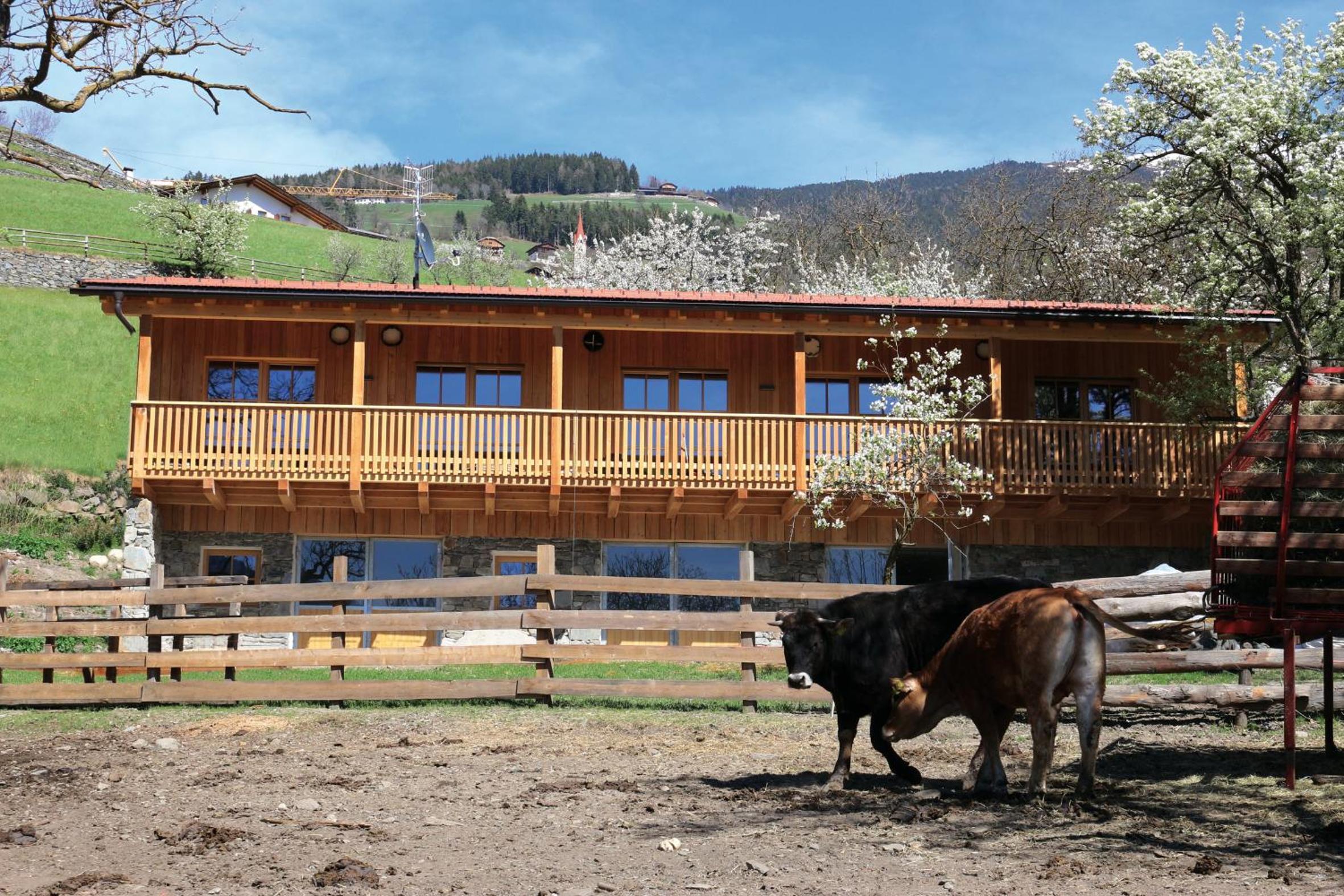 NEUE Ferienwohnungen auf dem Gebreitnerhof, Urlaub auf dem Bauernhof view 3