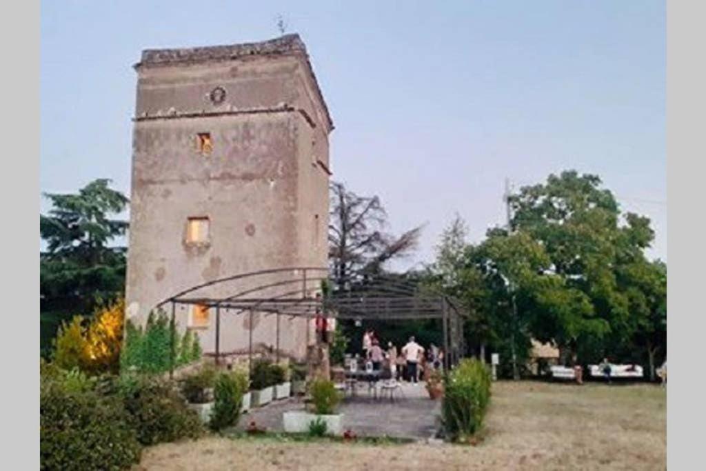 Photo 21
