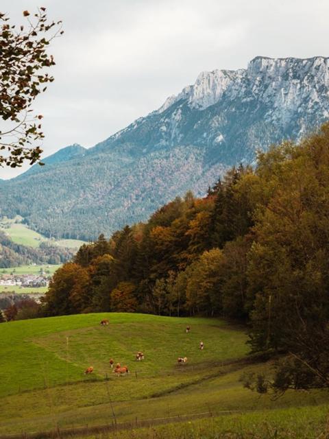 Das Luegstein view 4
