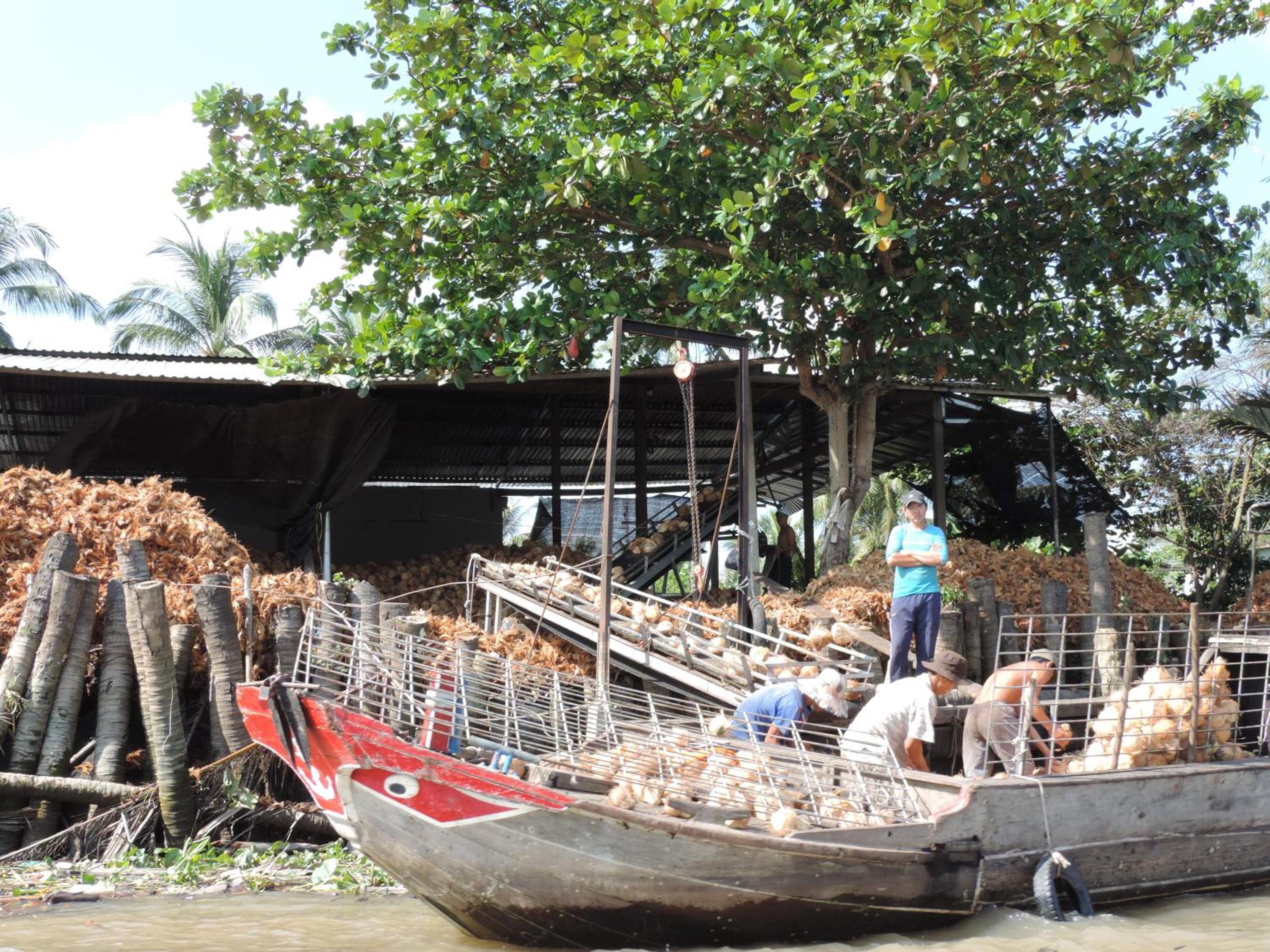 Ben Tre Farm Stay view 2