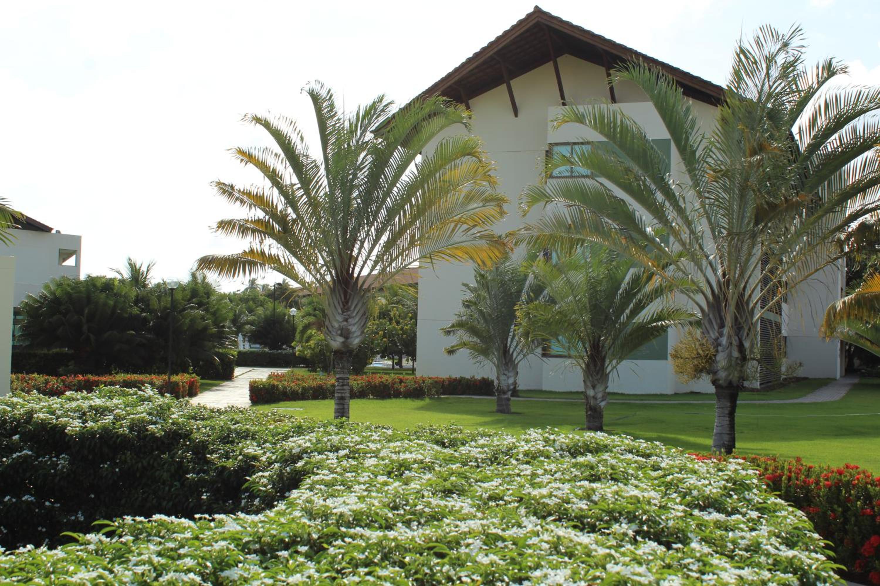 CARNEIROS BEACH RESORT AP 311 E