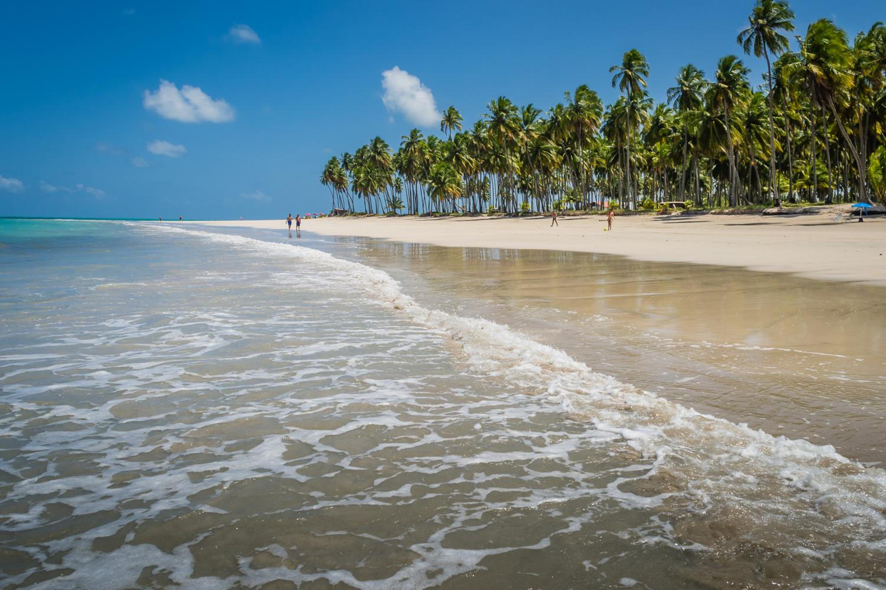CARNEIROS BEACH RESORT AP 311 E