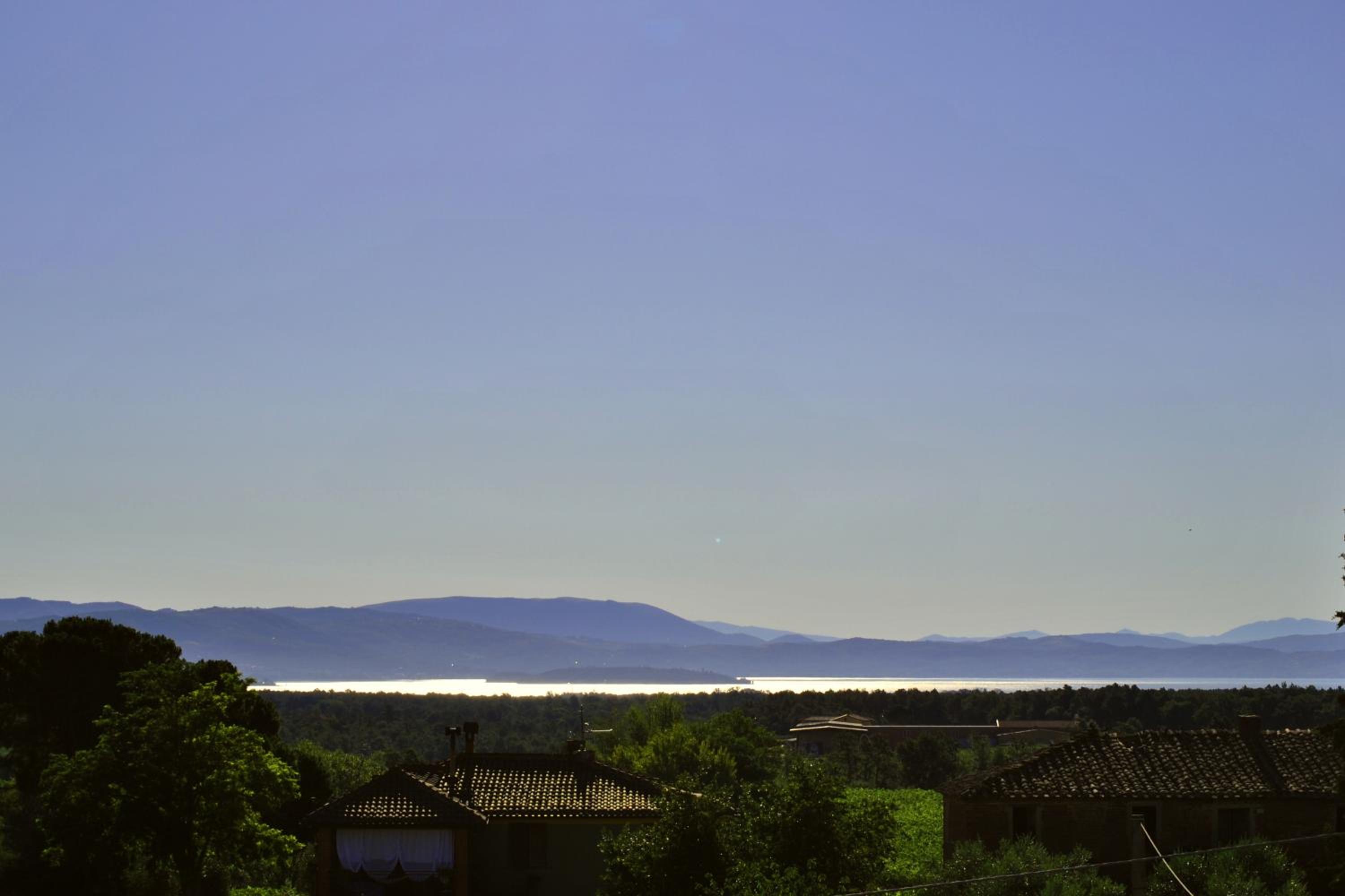 Photo 50