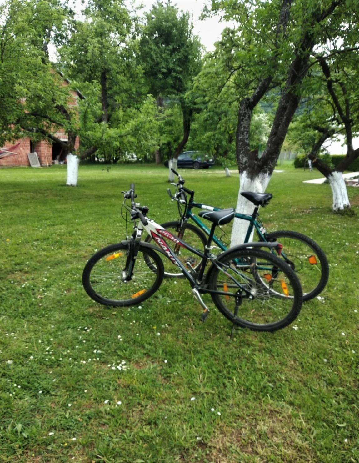 Photo 18