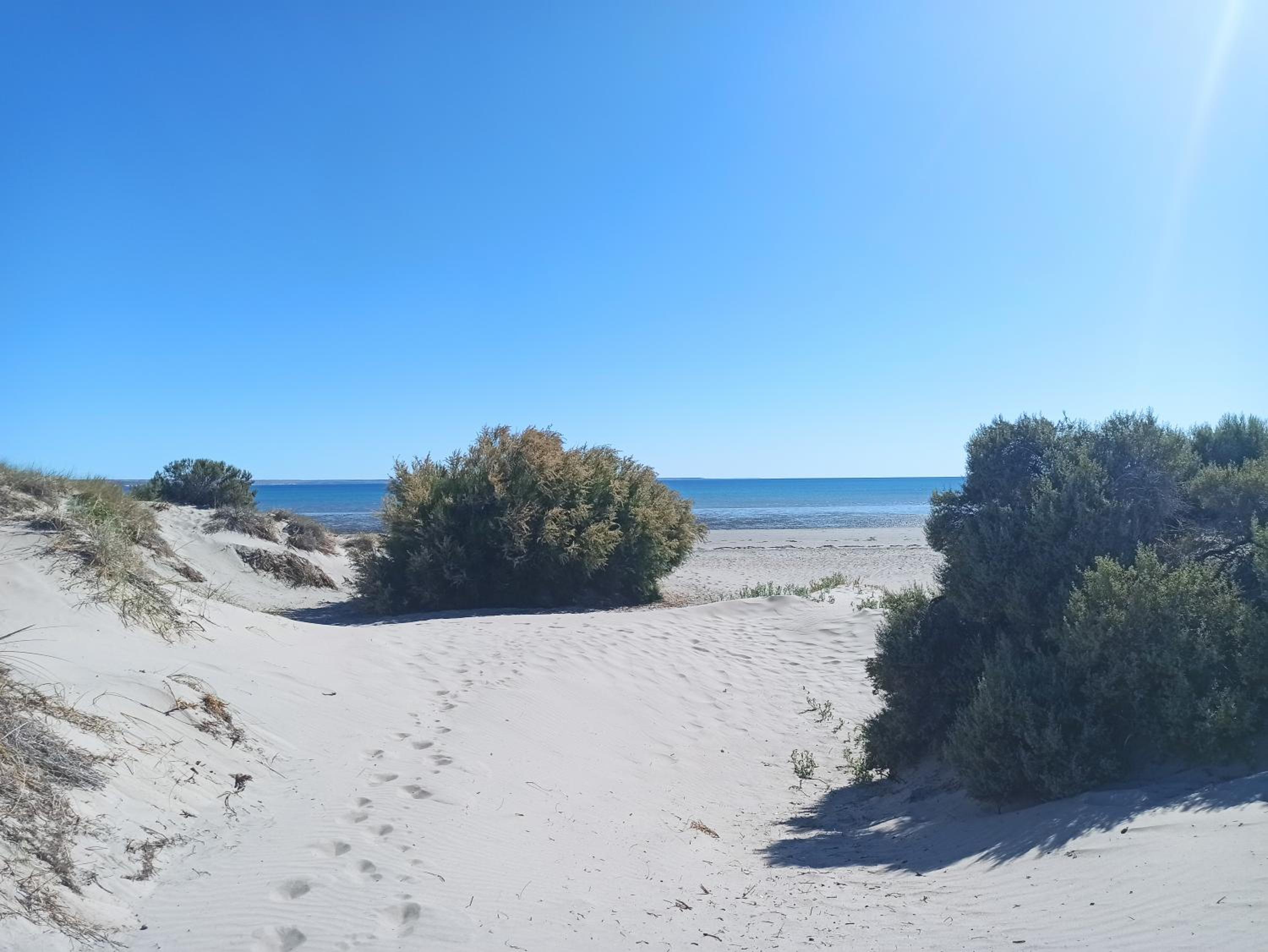 Epic temporario Madryn