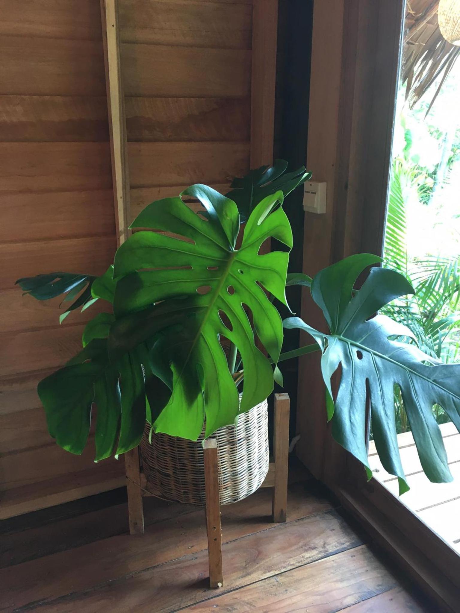 Photo 77