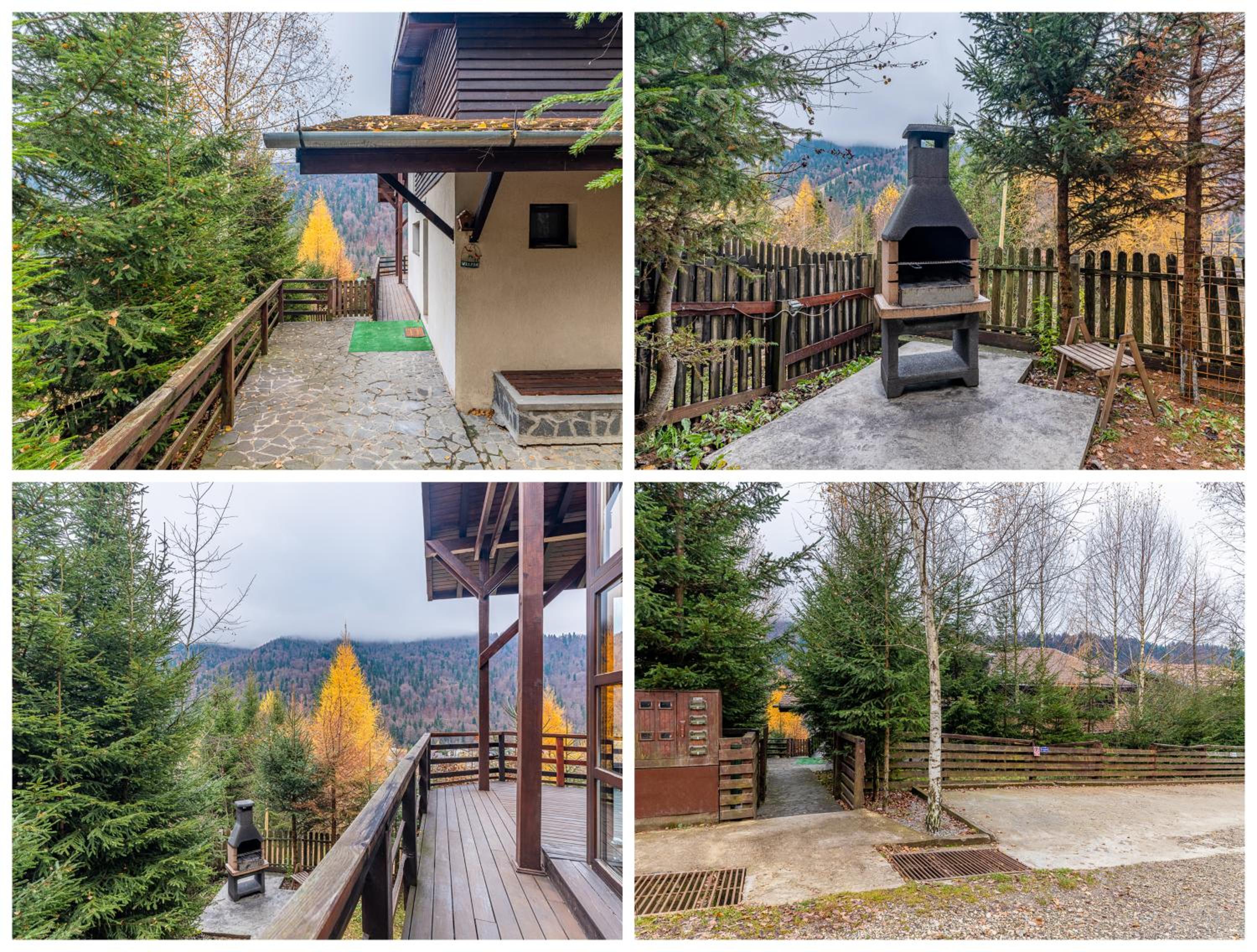 Andu's Chalet Azuga