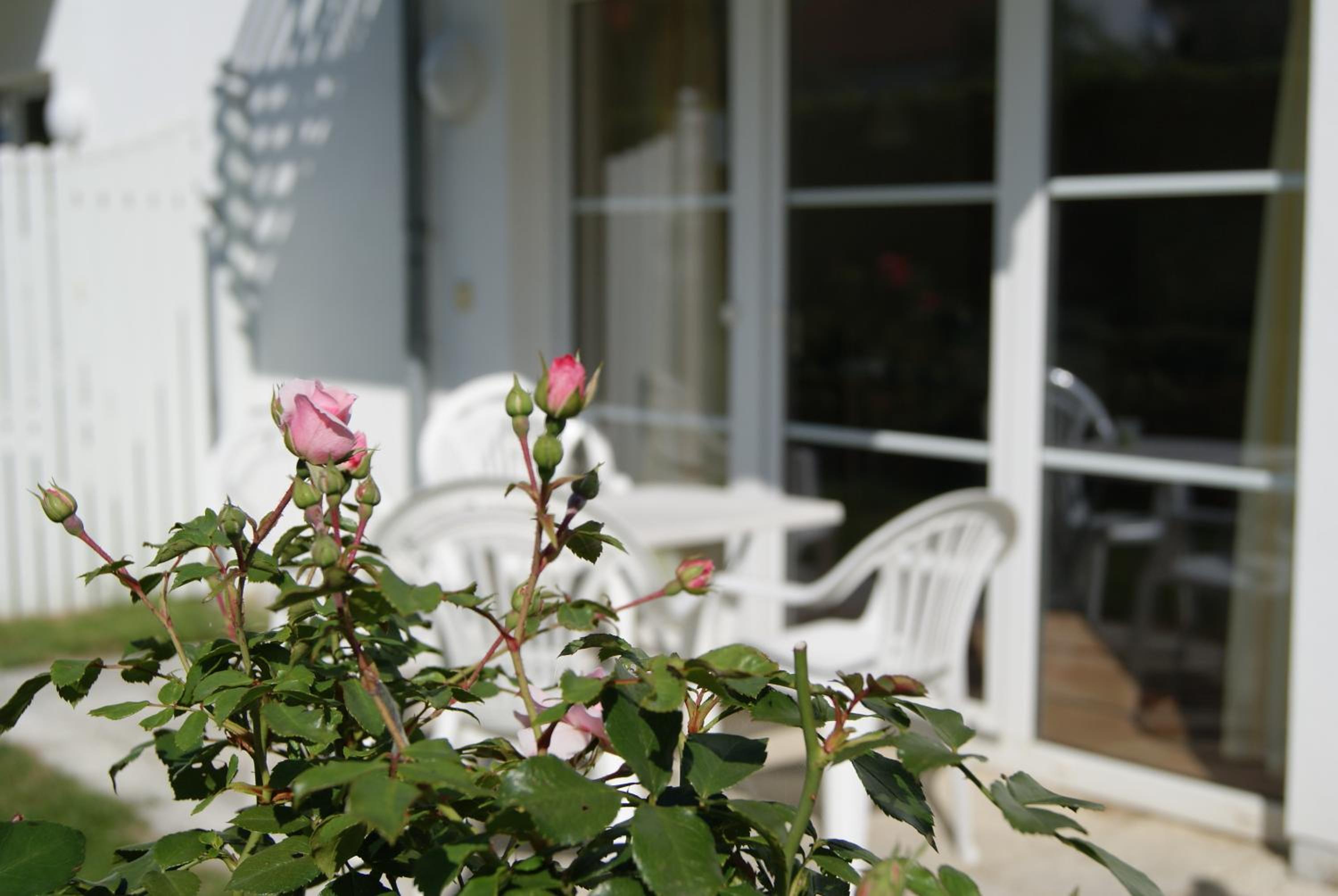 Ferienwohnung im Haus Katharina