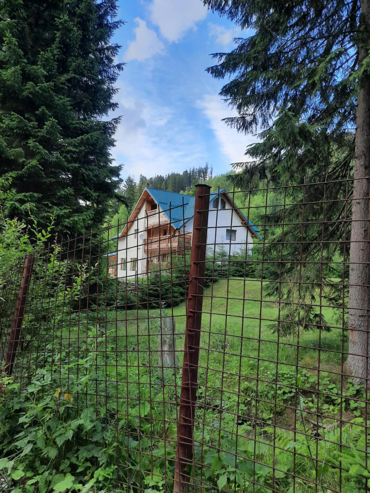 Pensiunea Gură de Rai, Pojorâta view 5