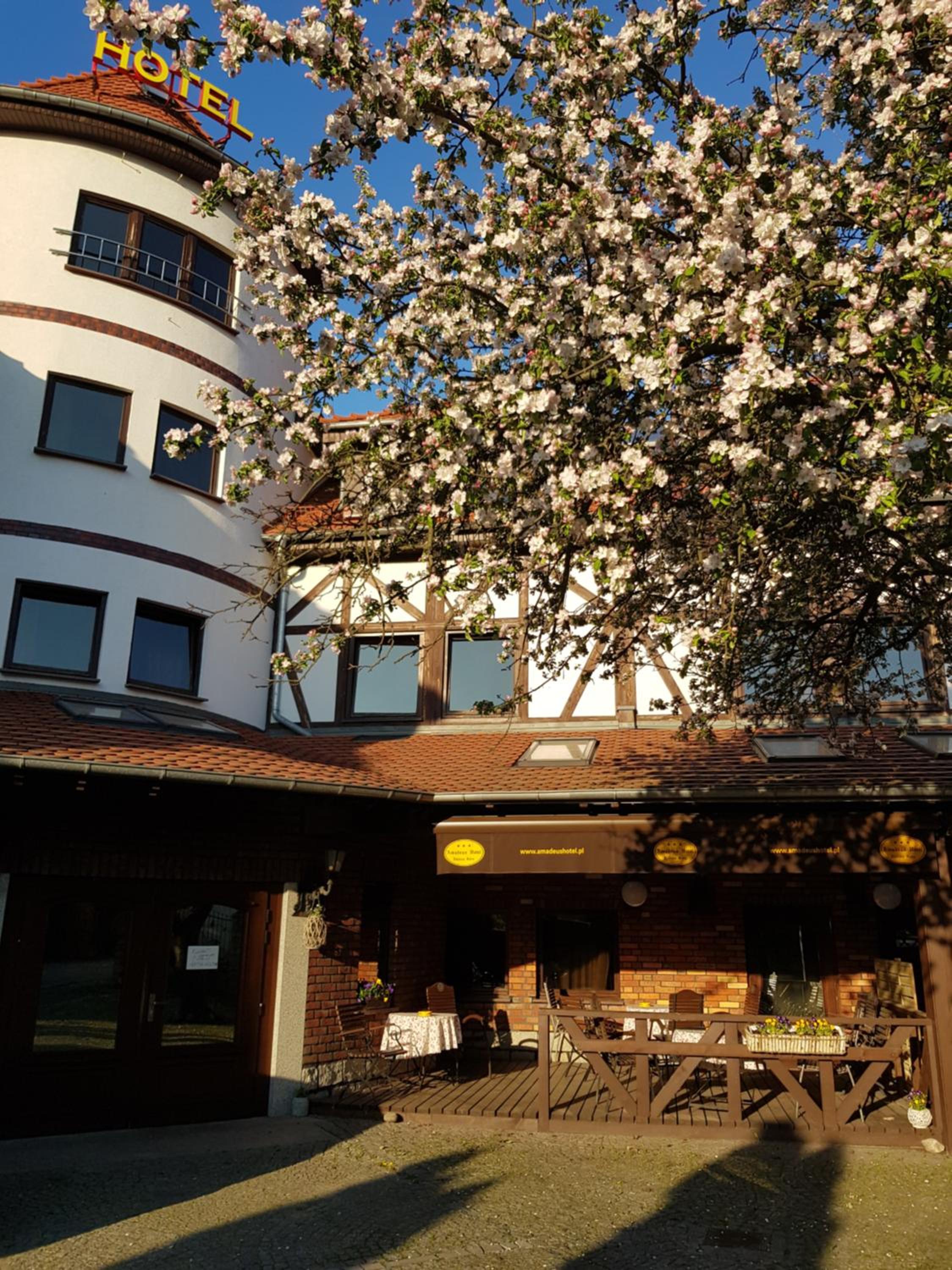 Hotel Amadeus Hotel Zielona Góra