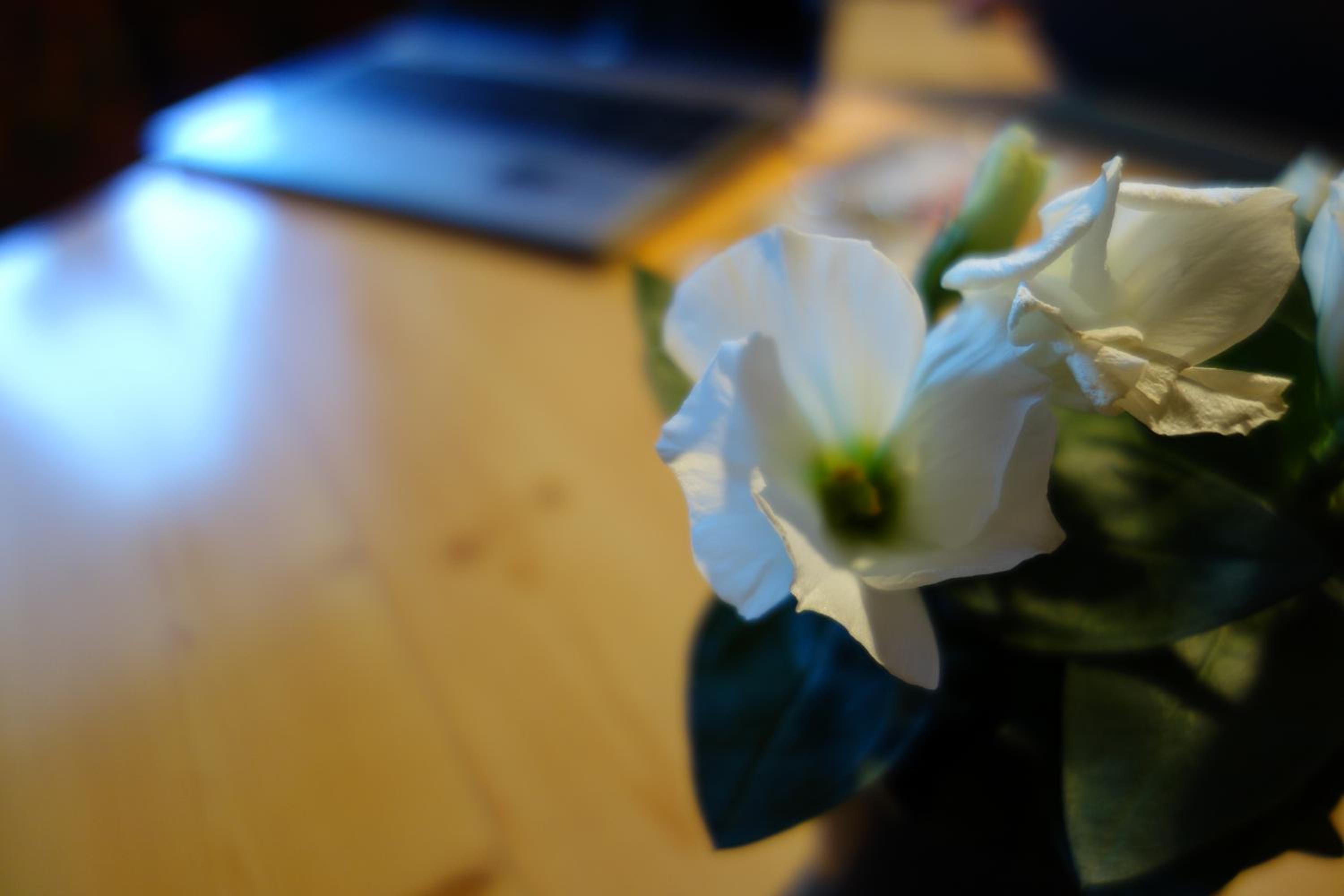 Photo 47