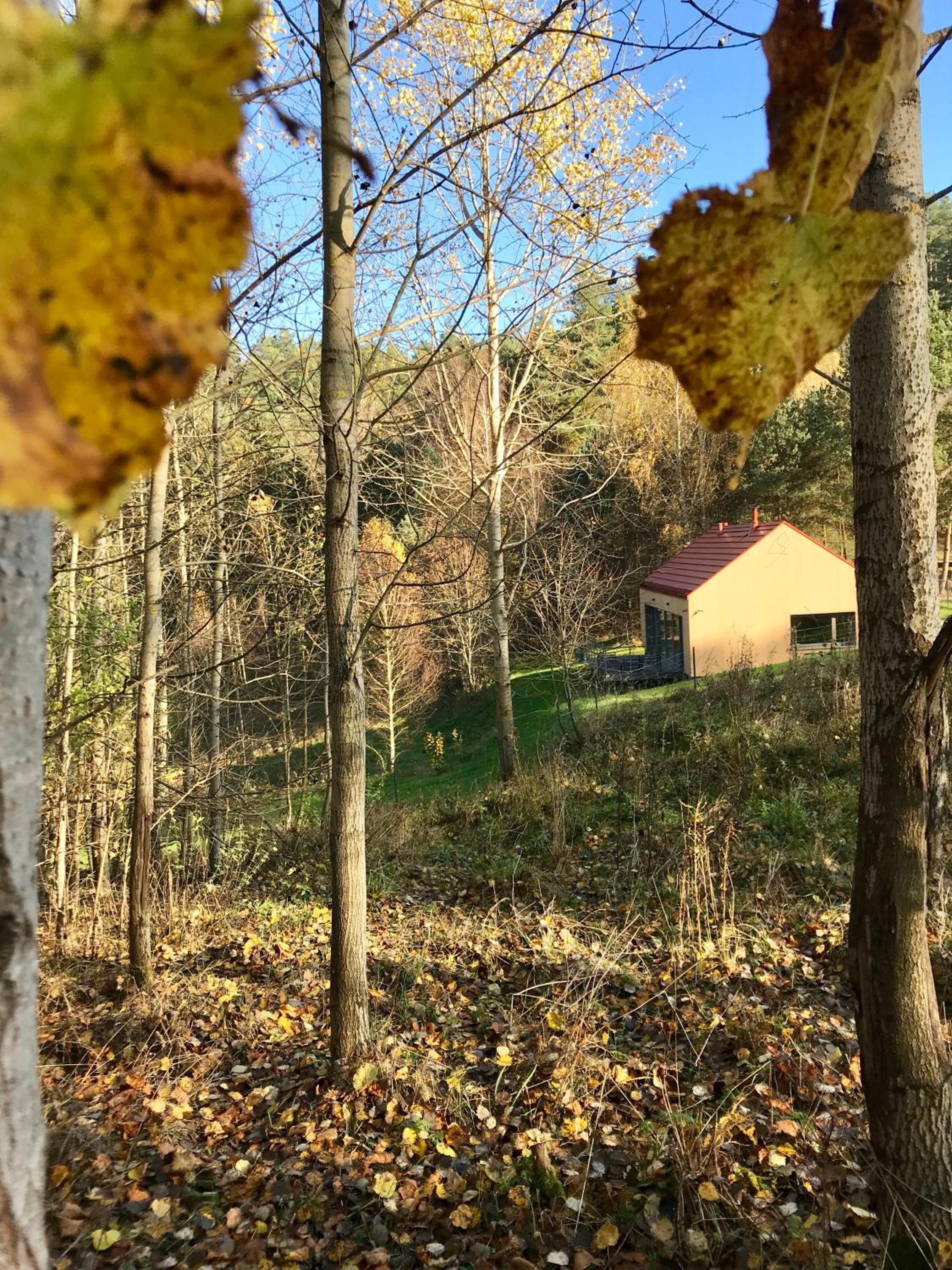 Photo 19