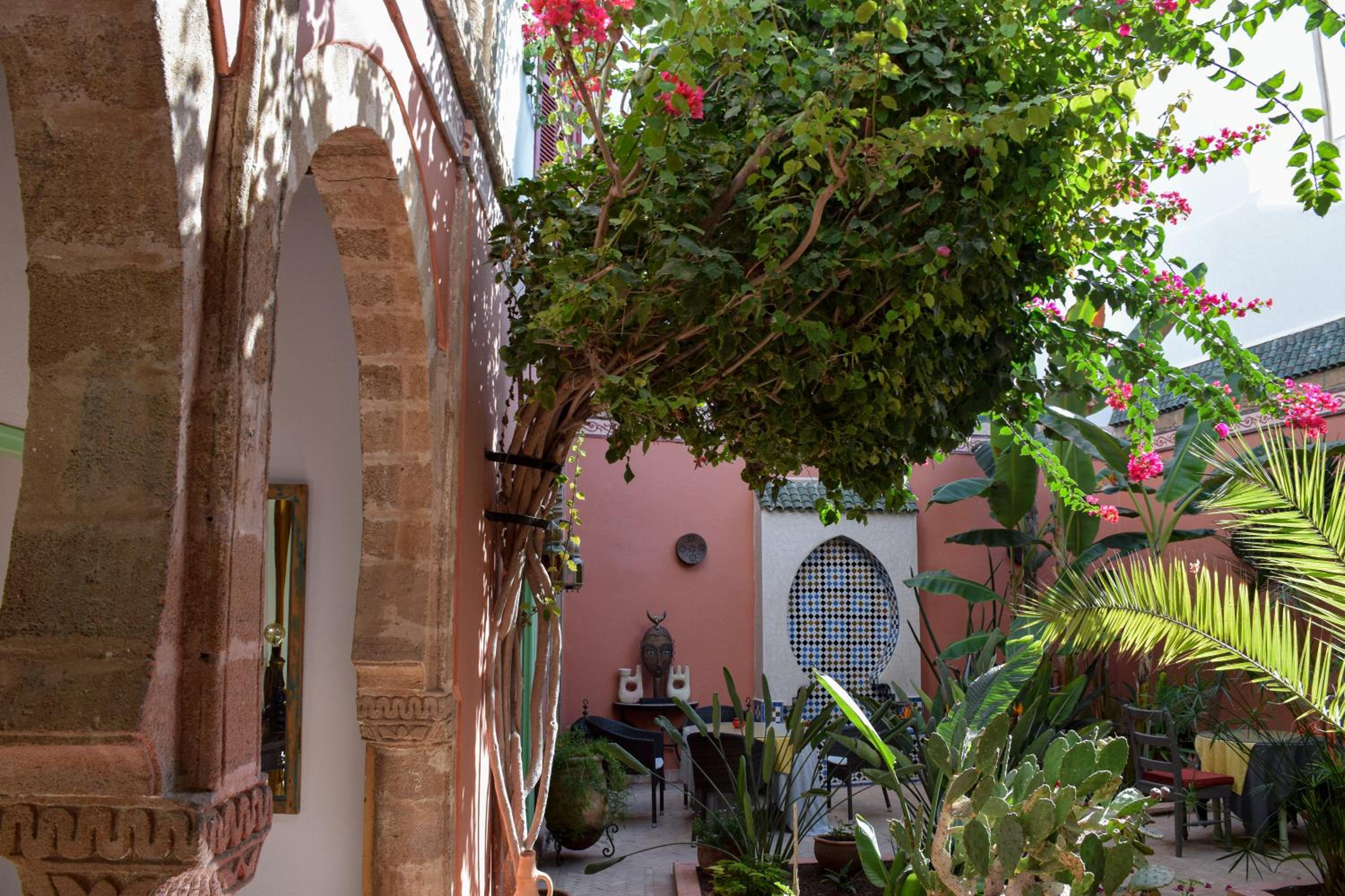 Riad Dar Dayana view 5