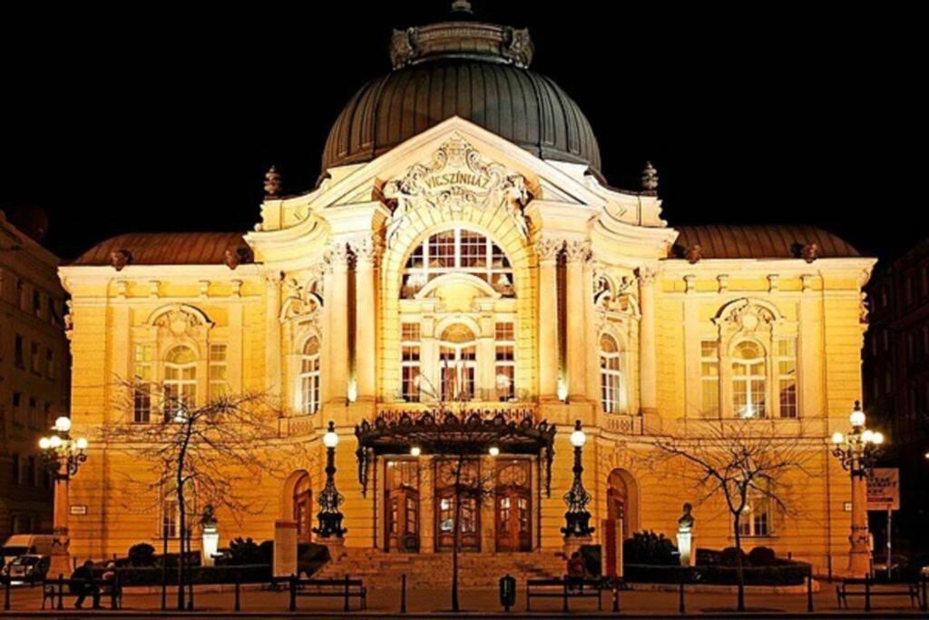 Secret Diamond of the Budapest view 5