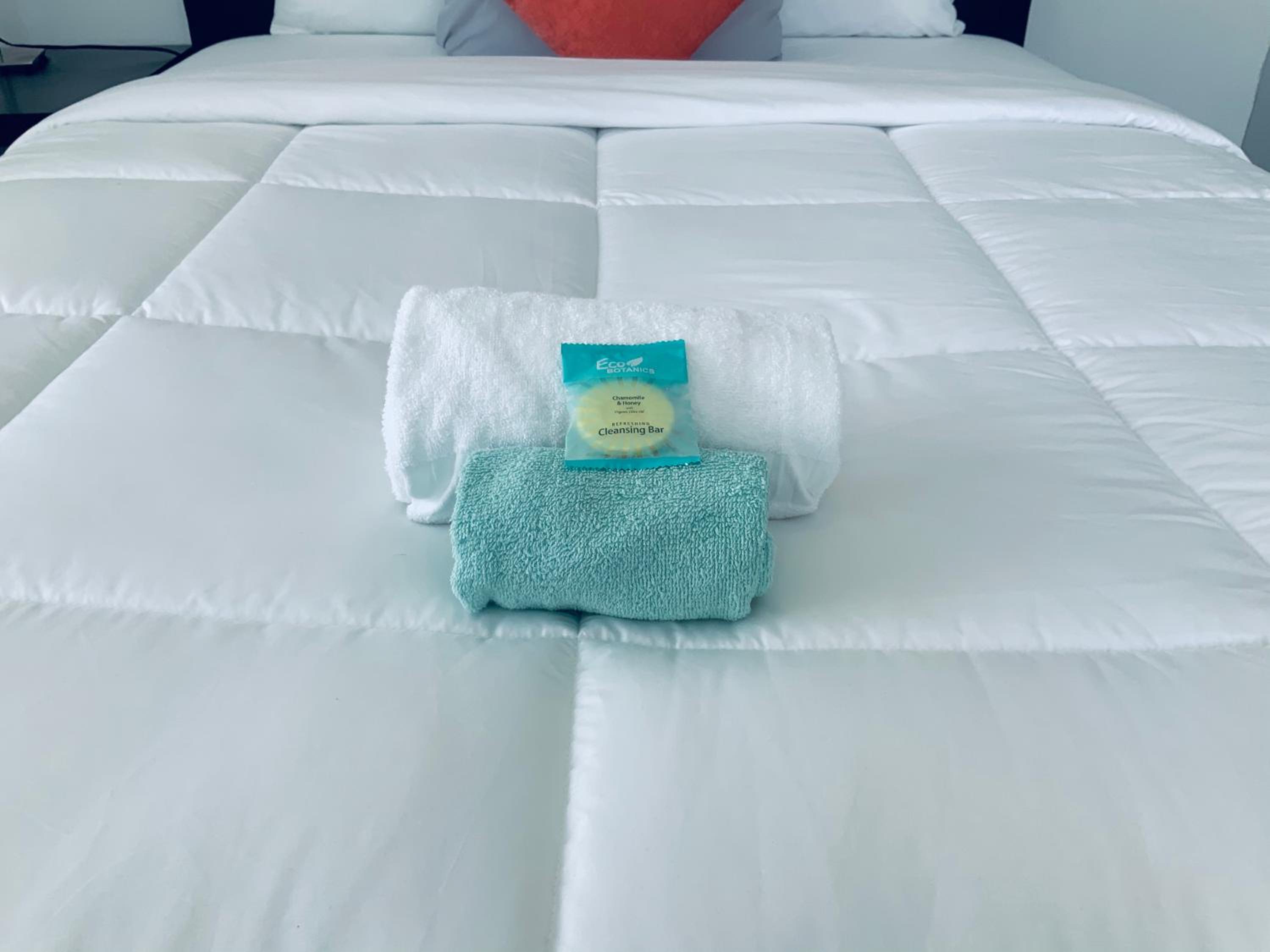 Adorable private apartments in the Heart of Miami!
