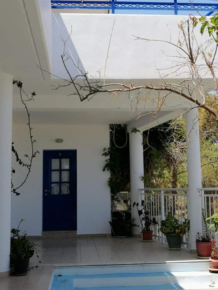 Stegna-TULA photo 3