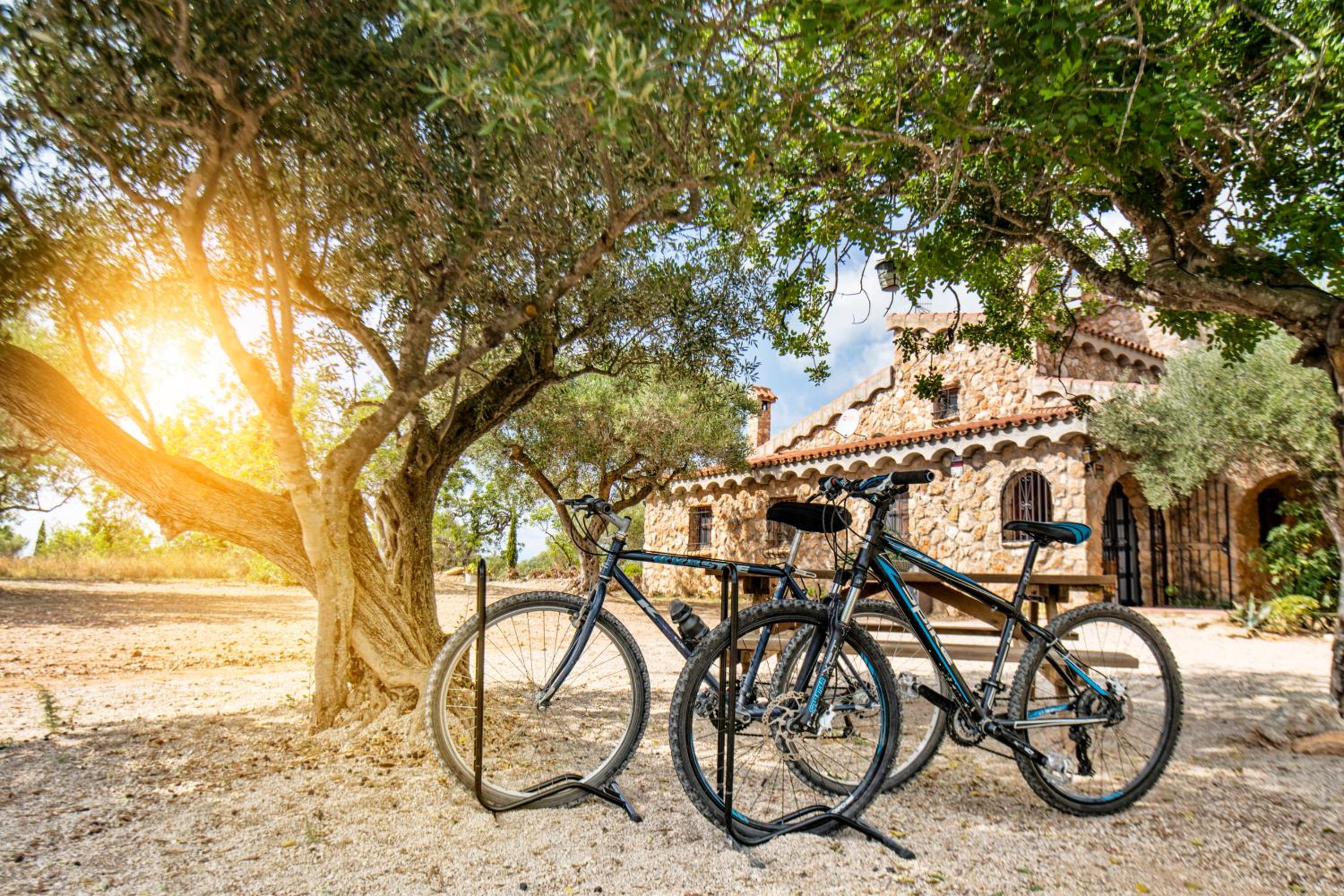 Photo 47