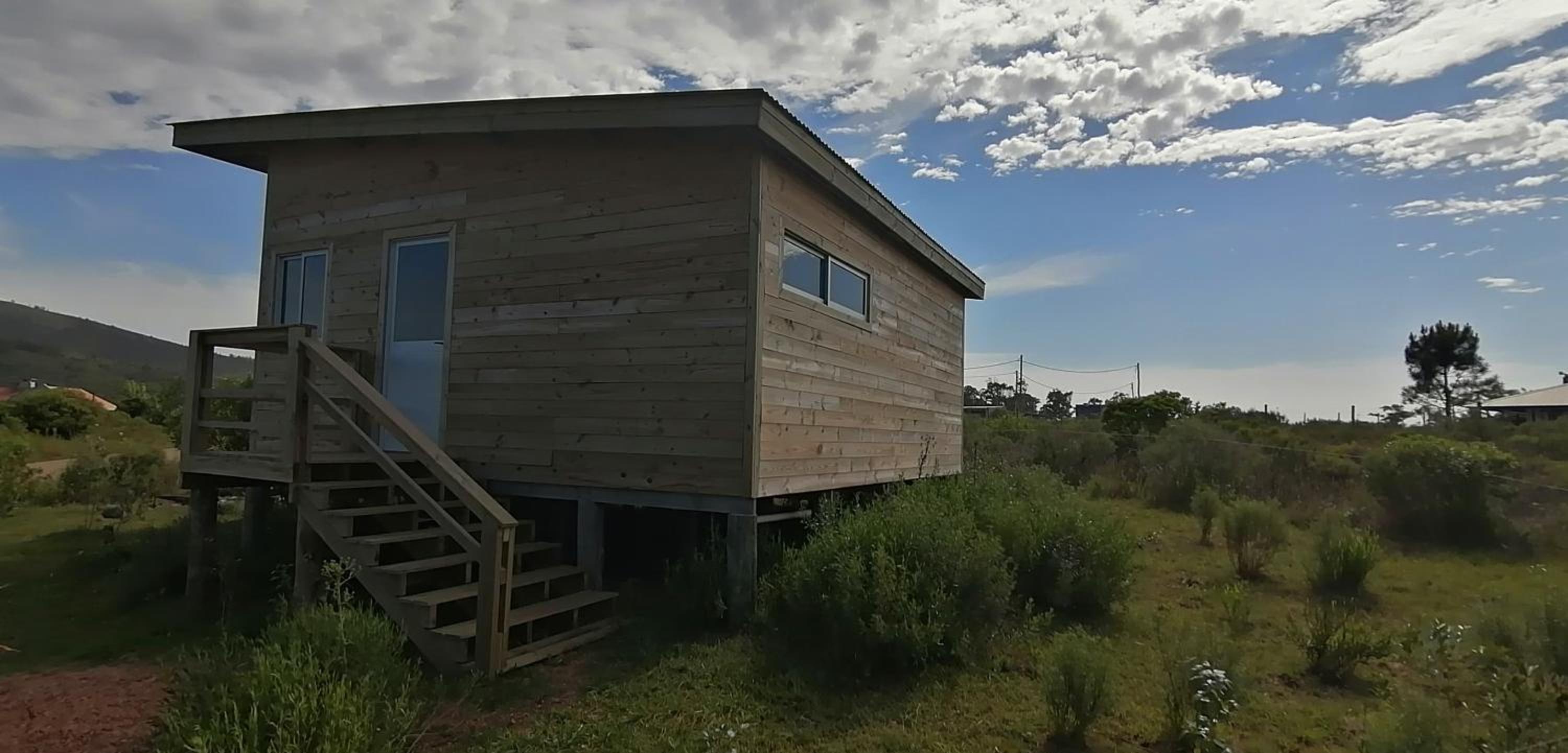 Charrua de Punta colorada